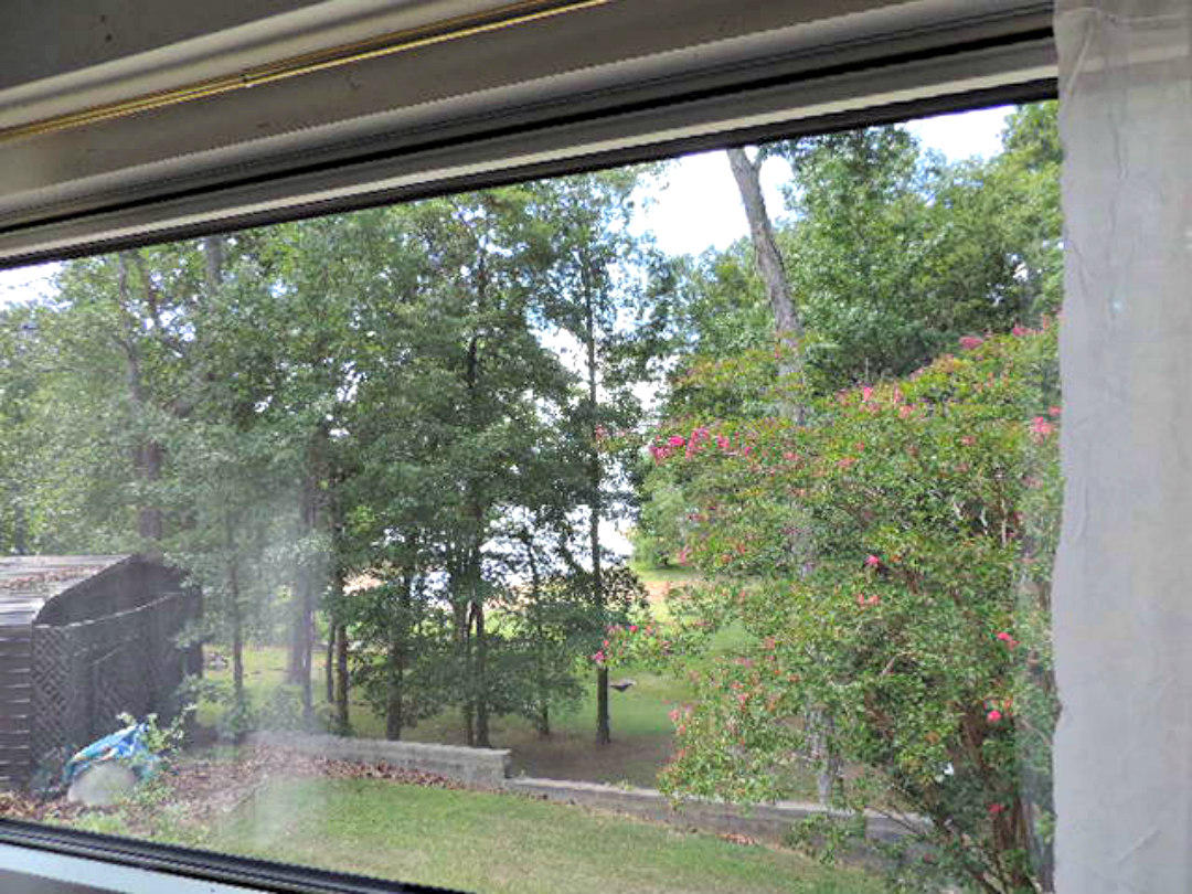 1626 Covington Road Dandridge, TN 37725 - Photo 24 of 38 DSCN1525