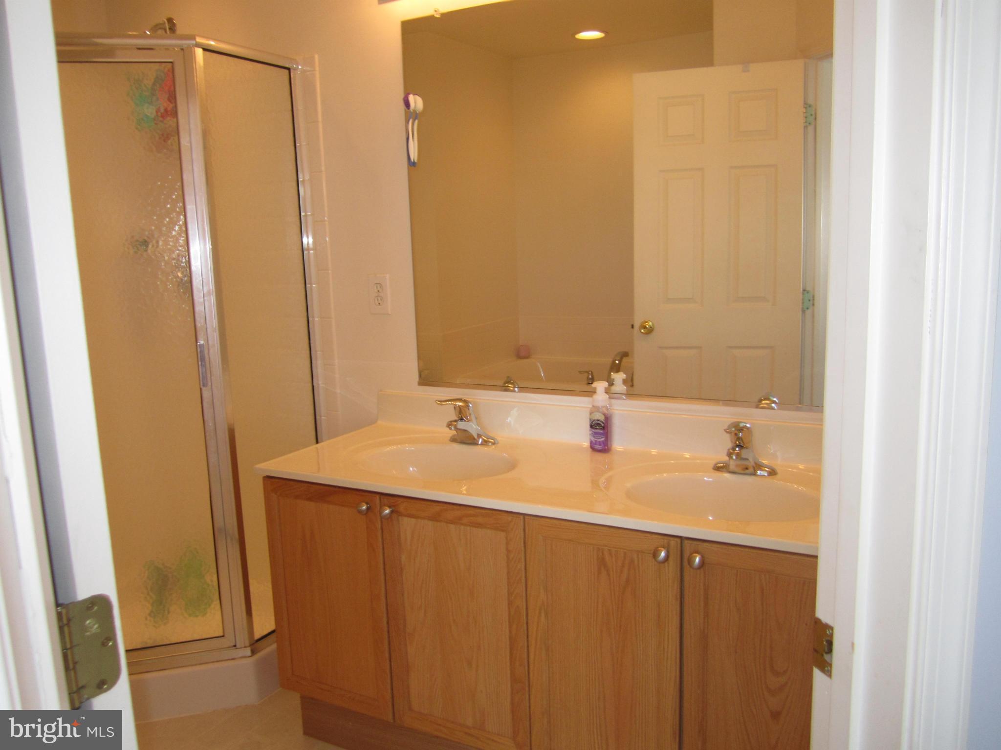 222 Rumbling Rock Road Hedgesville, WV 25427 - Photo 24 of 30 Bath (Master)