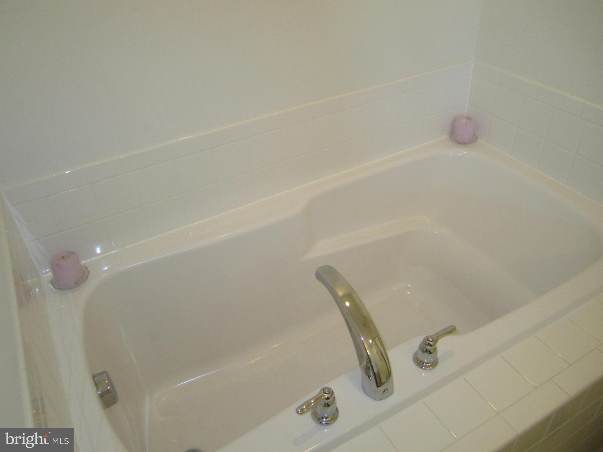 222 Rumbling Rock Road Hedgesville, WV 25427 - Photo 26 of 30 Bath (Master)