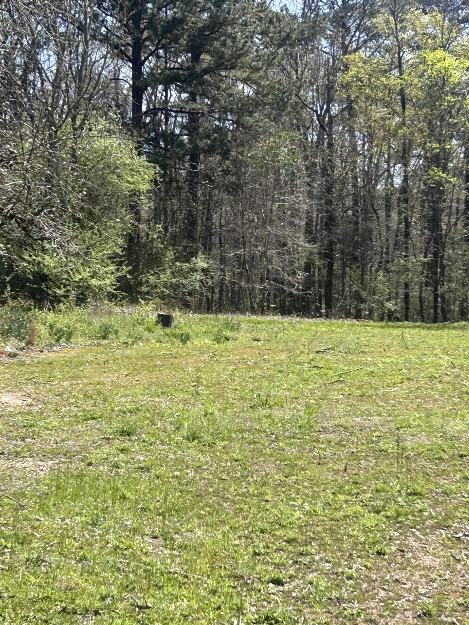 5824 Northeast Lincolnton Road Thomson, GA 30824 - Photo 2 of 8 IMG_5028