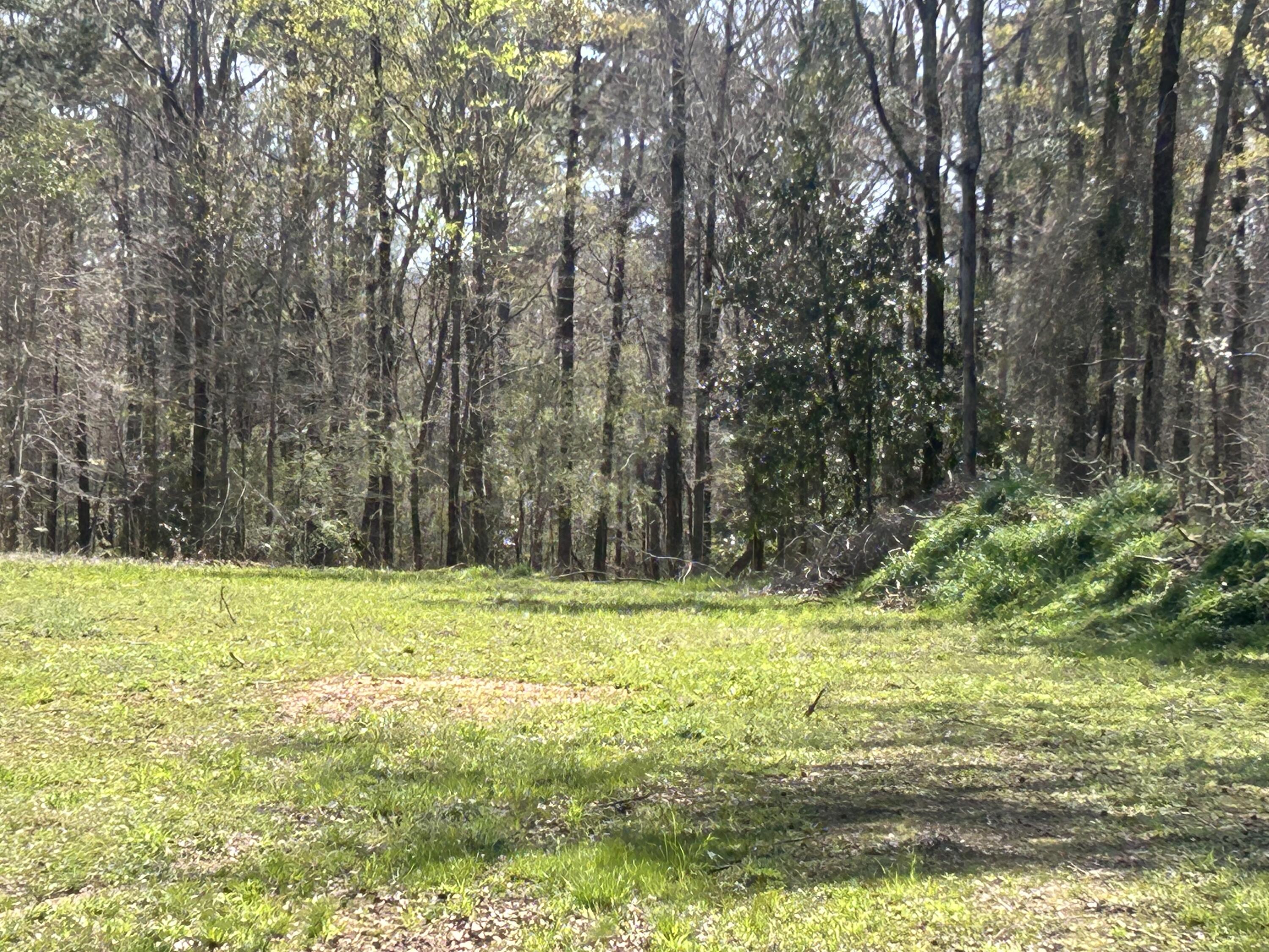 5824 Northeast Lincolnton Road Thomson, GA 30824 - Photo 3 of 8 IMG_5033