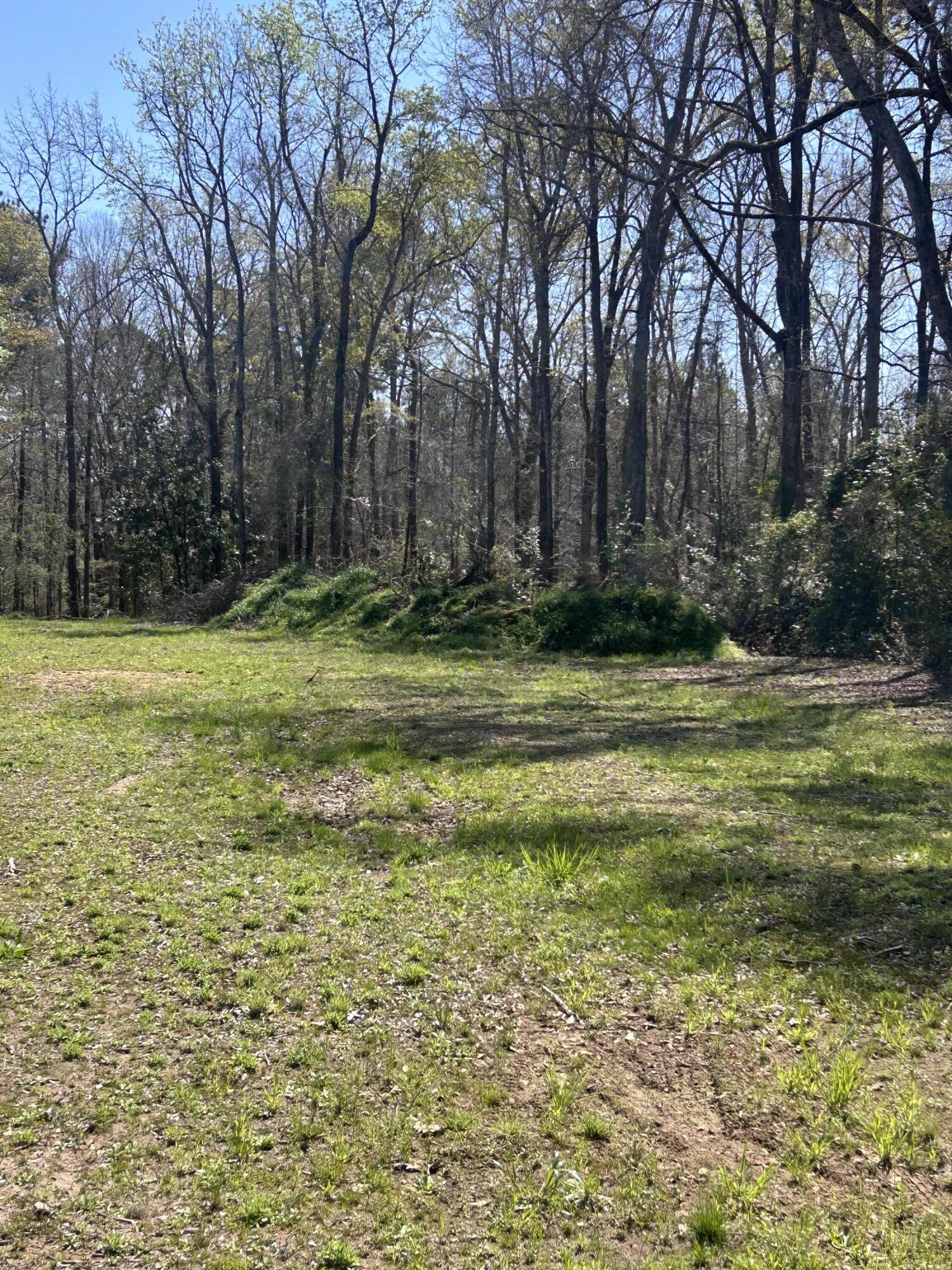 5824 Northeast Lincolnton Road Thomson, GA 30824 - Photo 4 of 8 IMG_5026