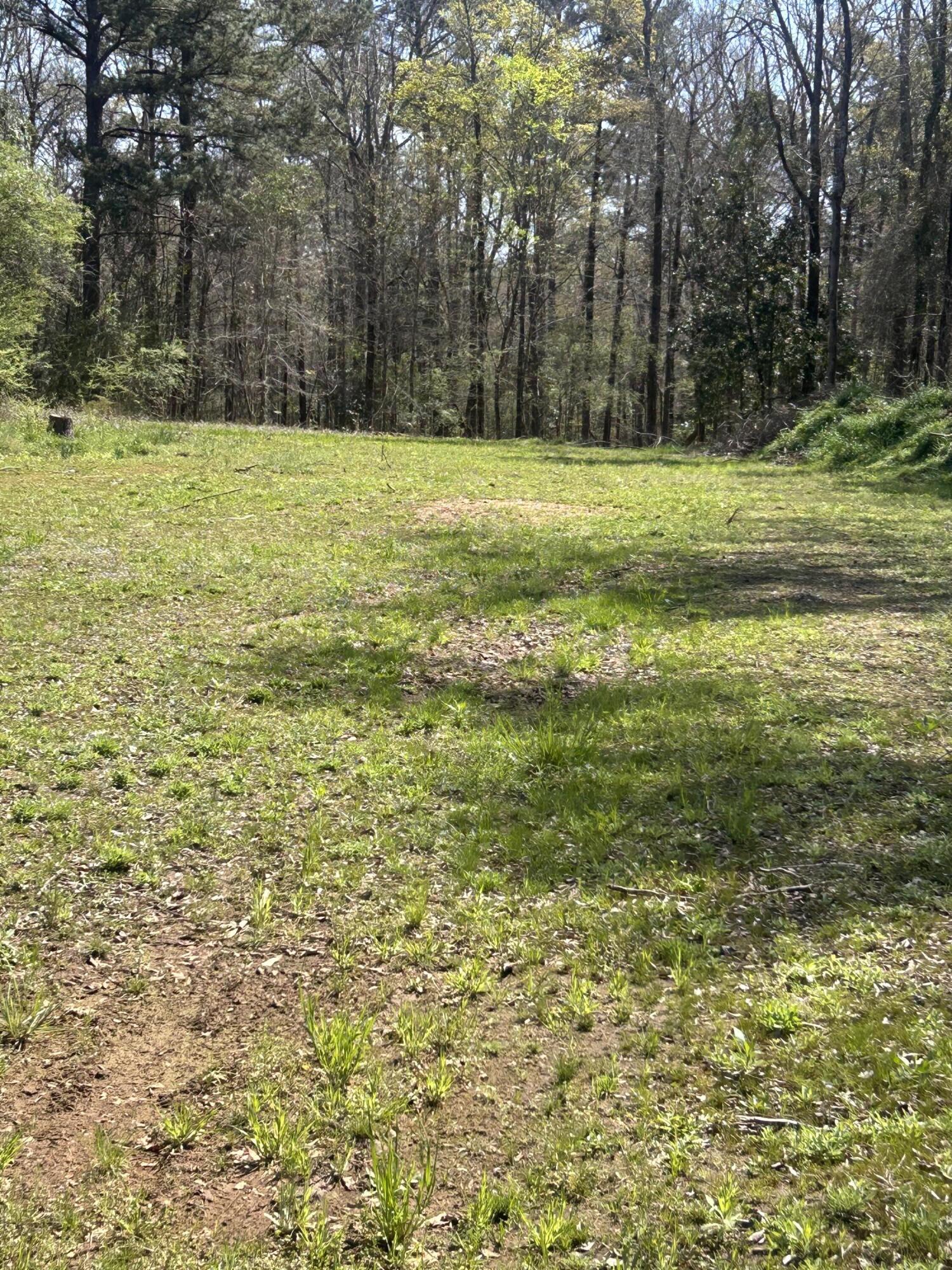 5824 Northeast Lincolnton Road Thomson, GA 30824 - Photo 7 of 8 IMG_5035