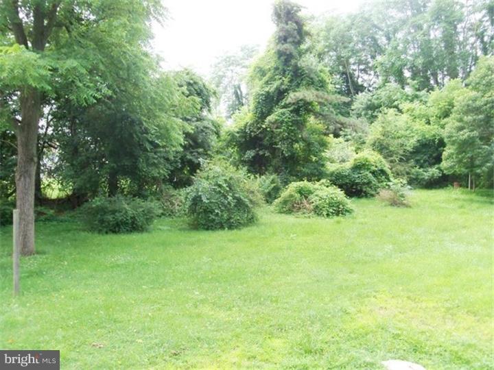 774 Mt Pleasant Road Pottstown, PA 19465 - Photo 4 of 18 Back Yard