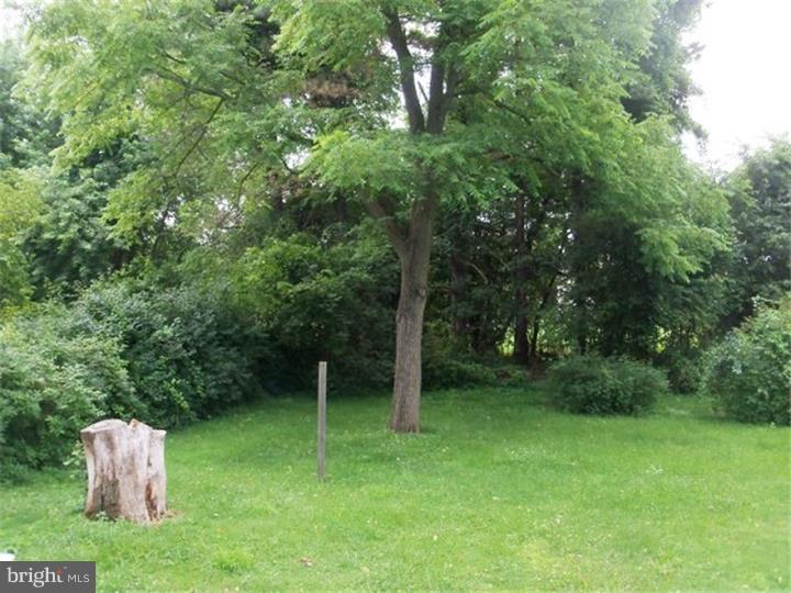 774 Mt Pleasant Road Pottstown, PA 19465 - Photo 5 of 18 Back Yard