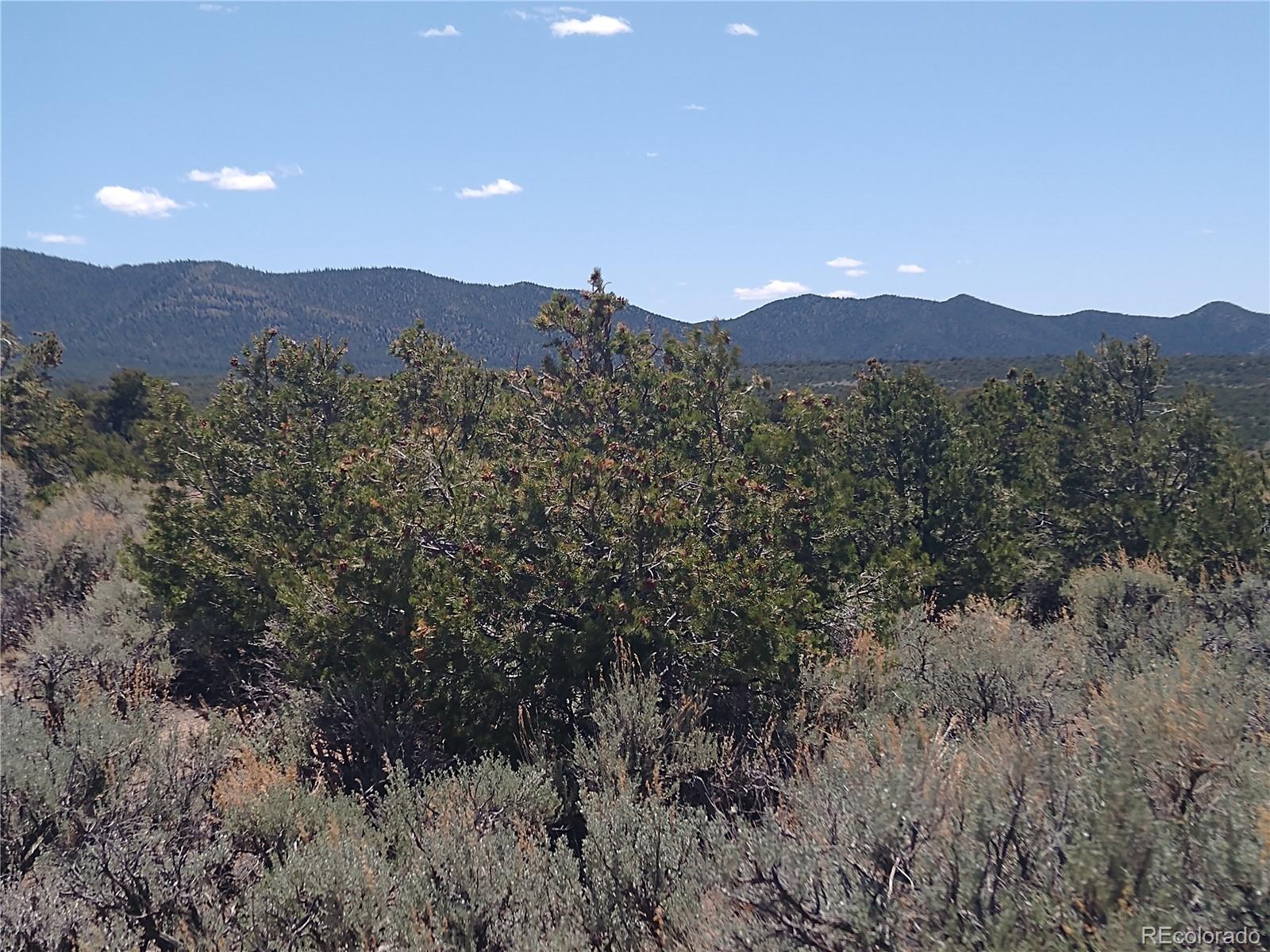 2135 Trujillo Road Fort Garland, CO 81133 - Photo 20 of 23 Gallery Image 20