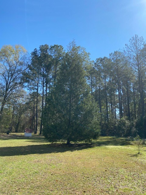 4284 Johnson Road South Valdosta, GA 31601 - Photo 44 of 44 Gallery Image 44