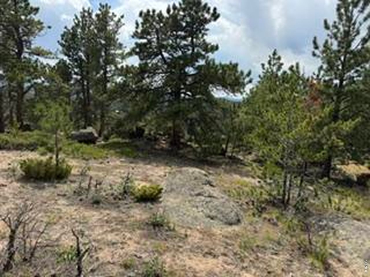 191 Cimarron Road Red Feather Lakes, CO 80545 - Photo 16 of 22 Gallery Image 16