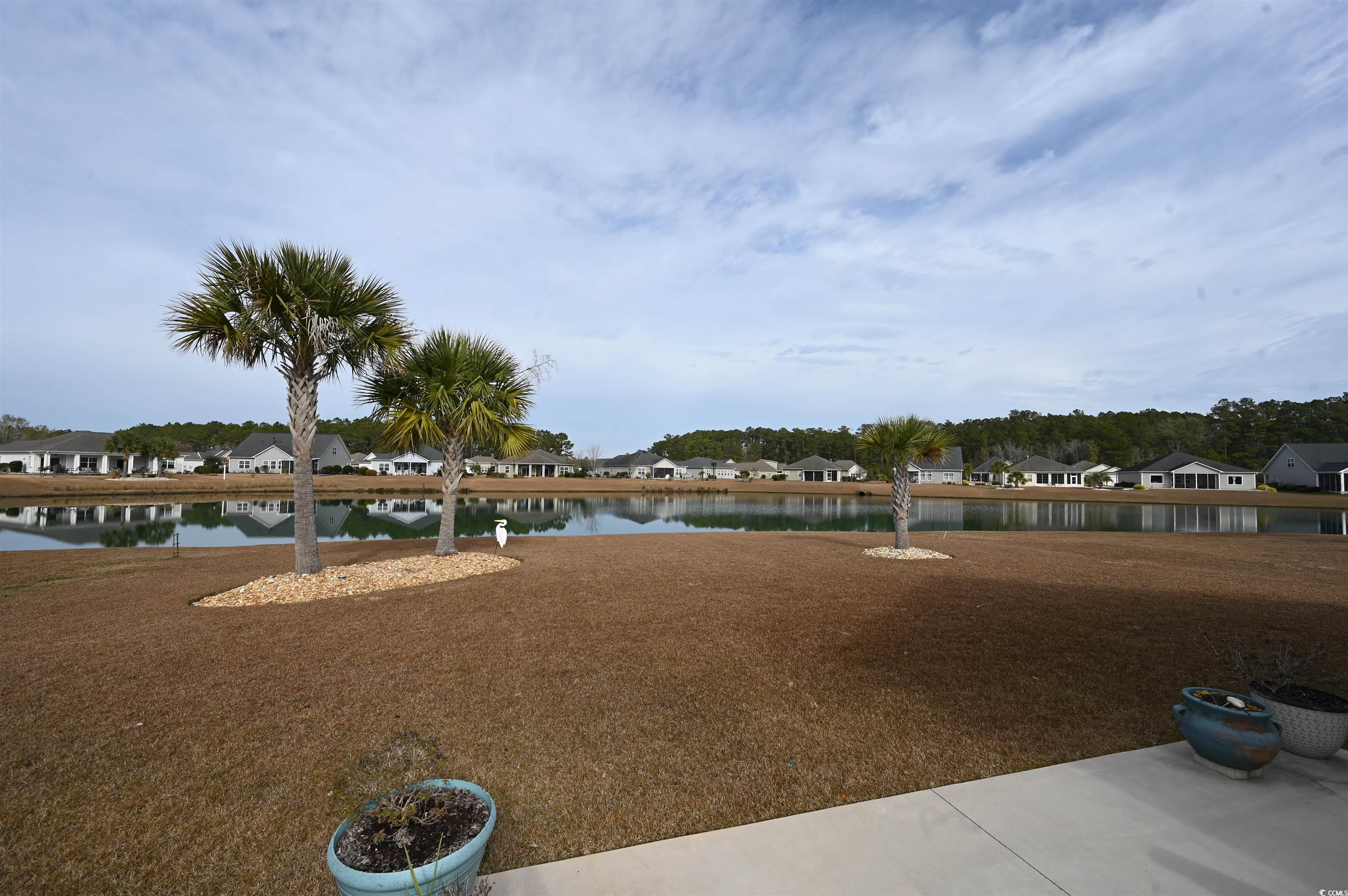 512 Carrick Loop Longs, SC 29568 - Photo 35 of 37