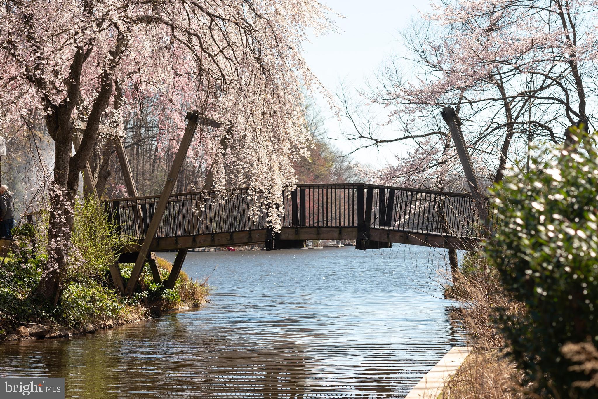 1511 North Point Drive, Unit 304 Reston, VA 20194 - Photo 40 of 47