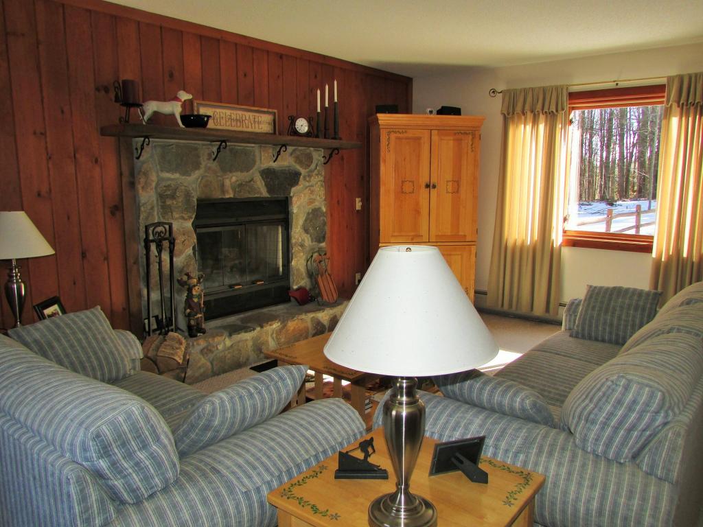 189 Dover Hill Road Dover, VT 05341 - Photo 2 of 14