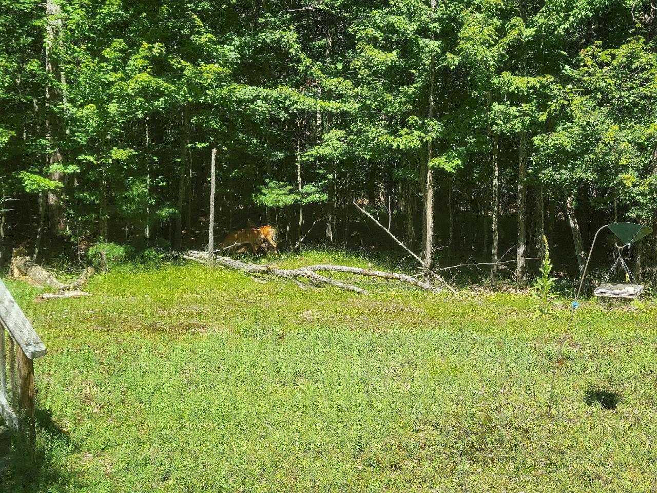 10886 Bosshard Cir Road Woodruff, WI 54568 - Photo 23 of 23 Gallery Image 23