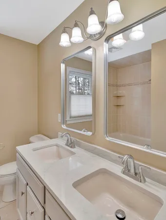 a bathroom with a sink and a mirror with toilet
