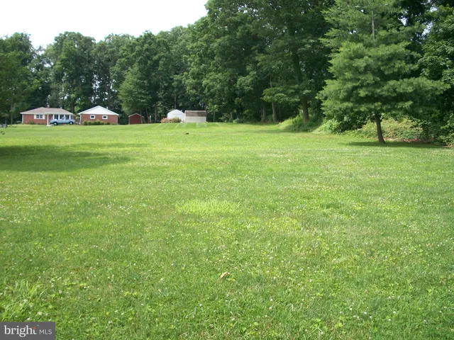 a view of a grassy field with trees