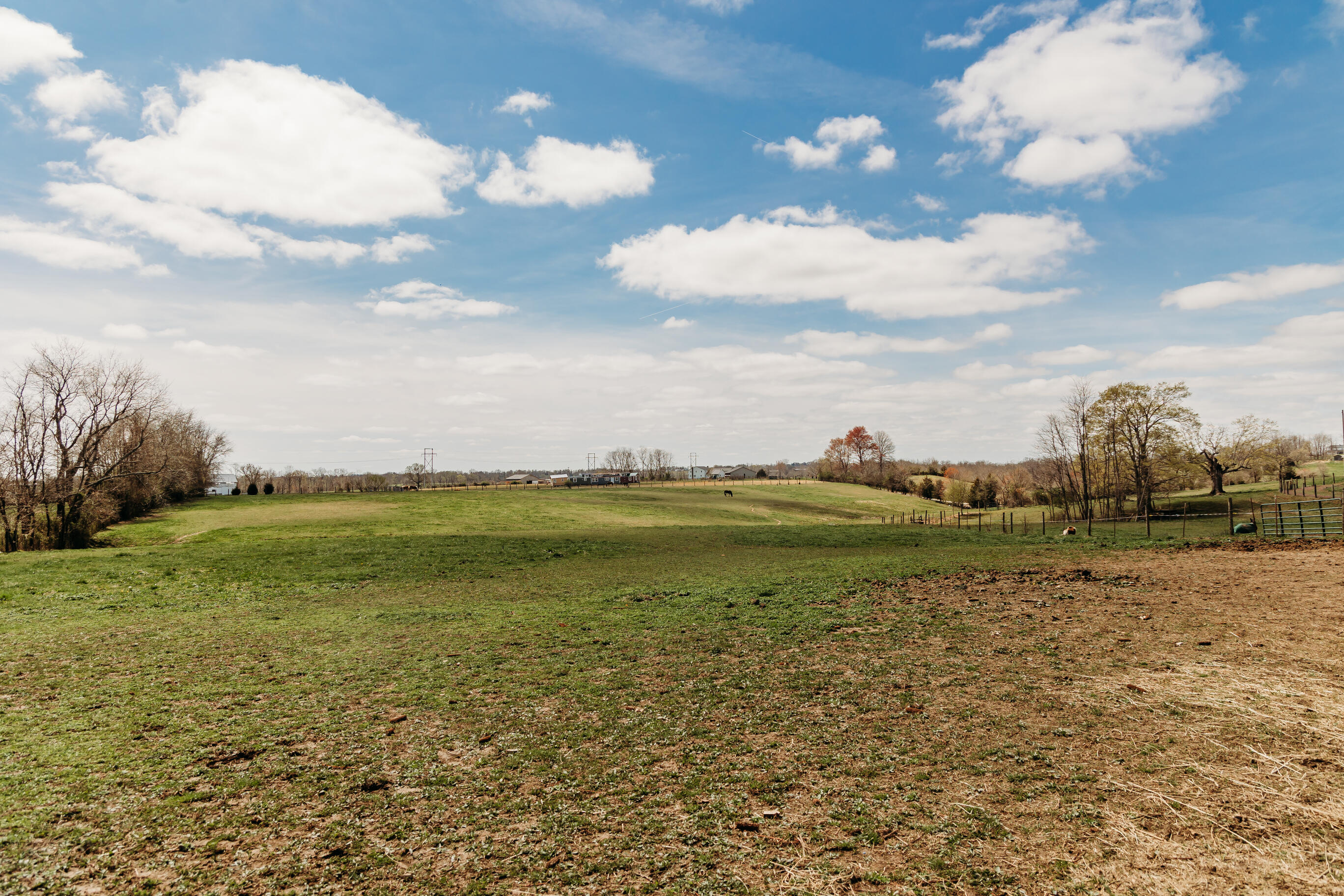 4241 Kendall Springs Road Owingsville, KY 40360 - Photo 62 of 66 Field