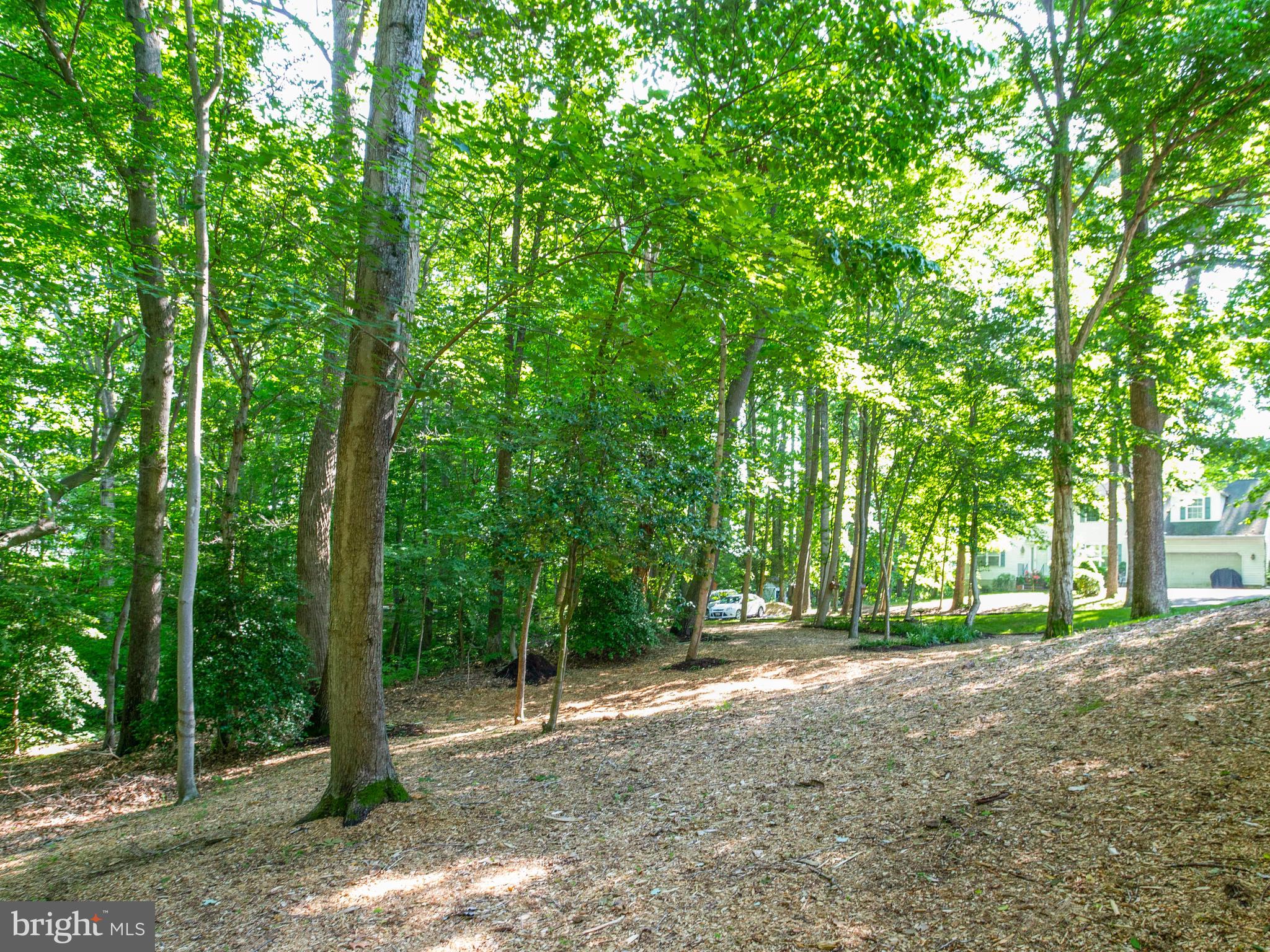 9710 Smith Way Dunkirk, MD 20754 - Photo 62 of 66 Side yard - bird sanctuary