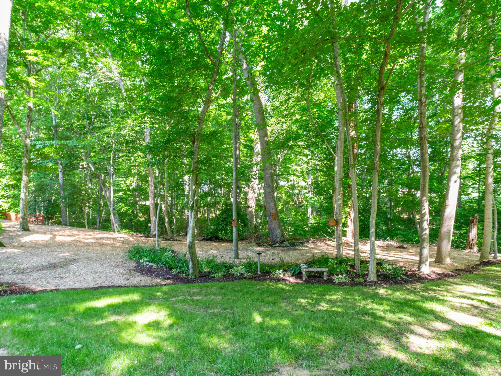 9710 Smith Way Dunkirk, MD 20754 - Photo 63 of 66 Side yard - bird sanctuary
