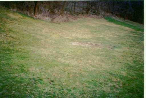 1935 State Rte 2023 Monongahela, PA 15063 - Photo 7 of 8 Land.