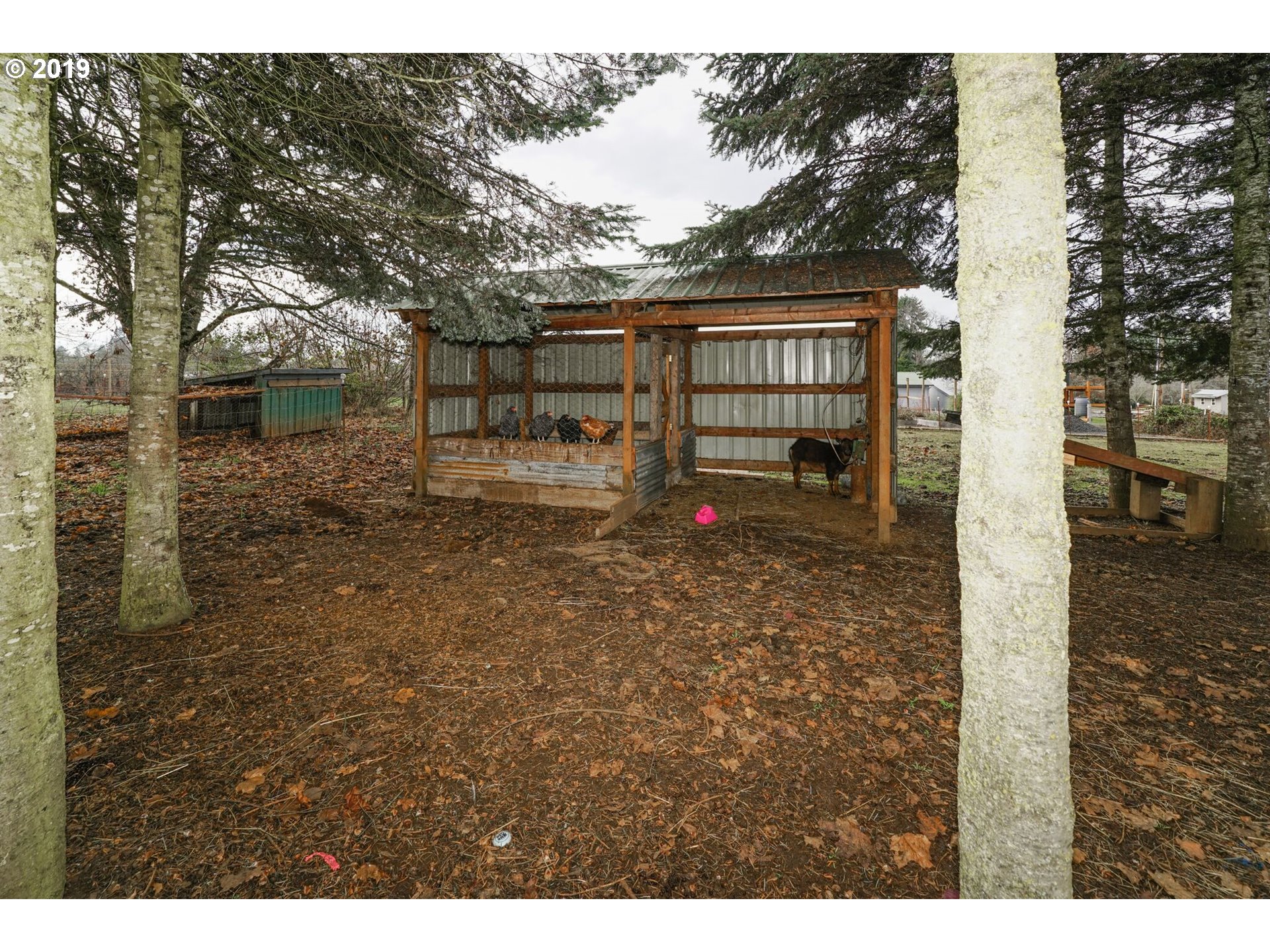 35060 Ede Road Lebanon, OR 97355 - Photo 9 of 18