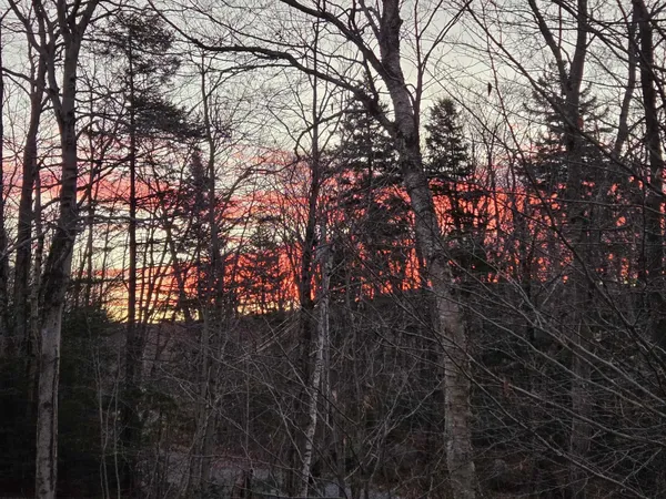 $394,000 | 43 Bergblume Circle, Stamford, VT 05352