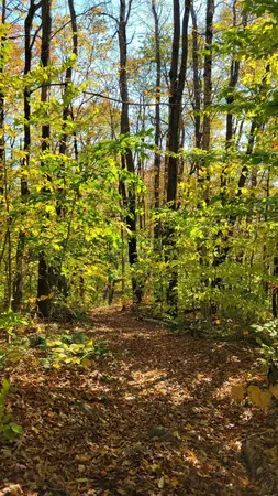 $394,000 | 43 Bergblume Circle, Stamford, VT 05352