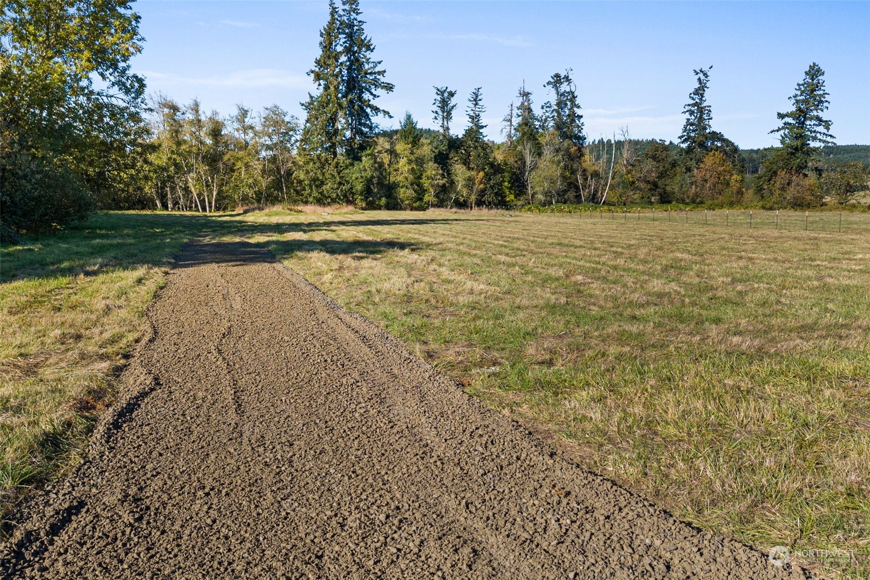 365 Boistfort Road Chehalis, WA 98532 - Photo 8 of 25 a view of outdoor space and yard