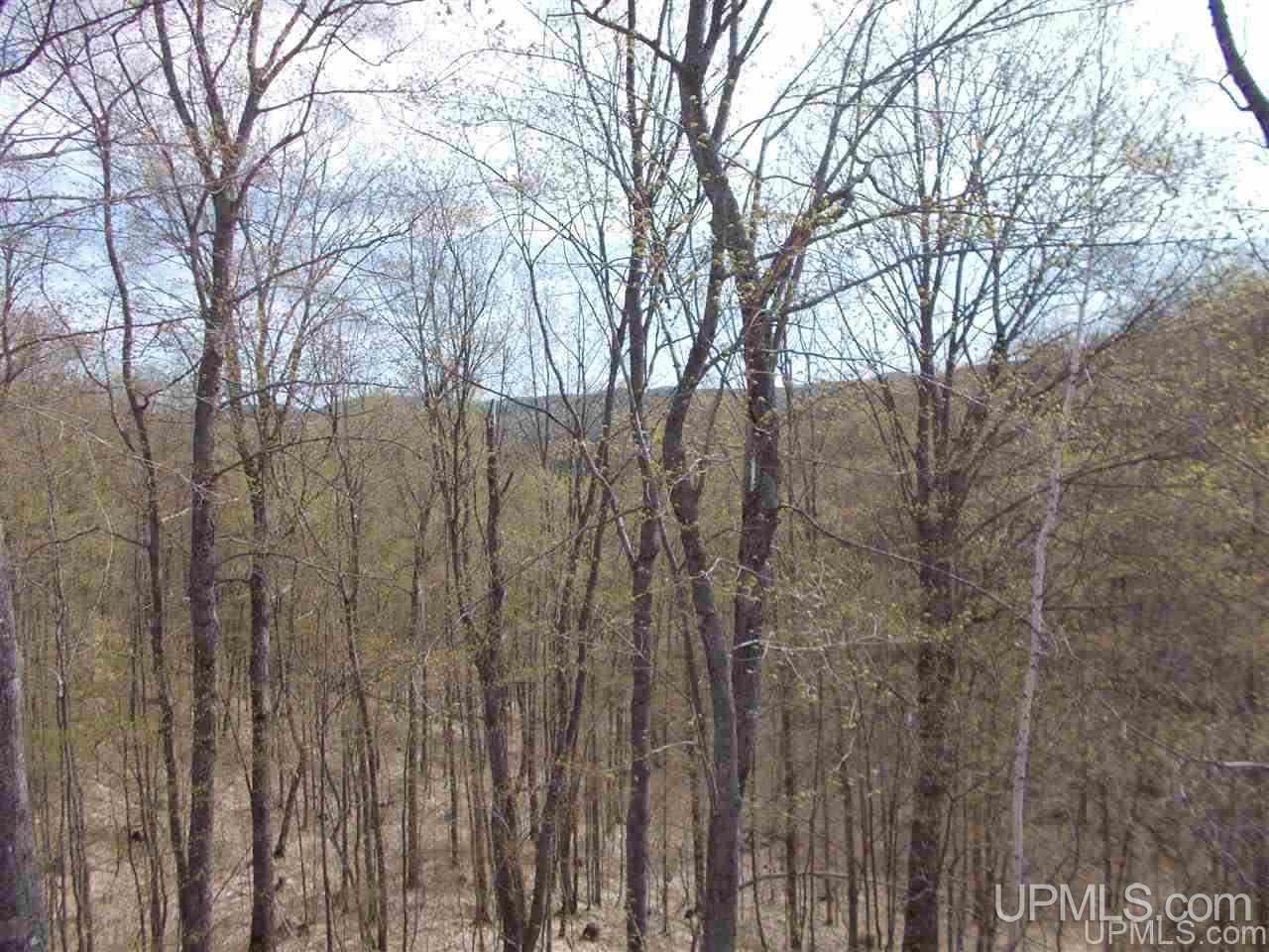 80-acres Triple A Road Ishpeming, MI 49849 - Photo 24 of 28