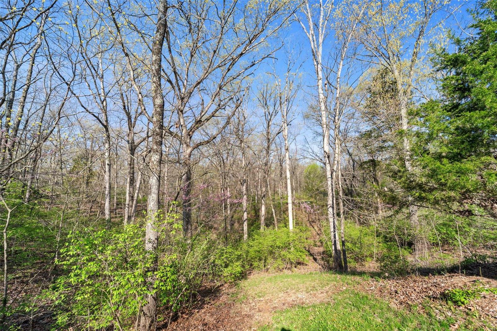 6365 Old Baum Church Road Waterloo, IL 62298 - Photo 7 of 50 Gallery Image 7