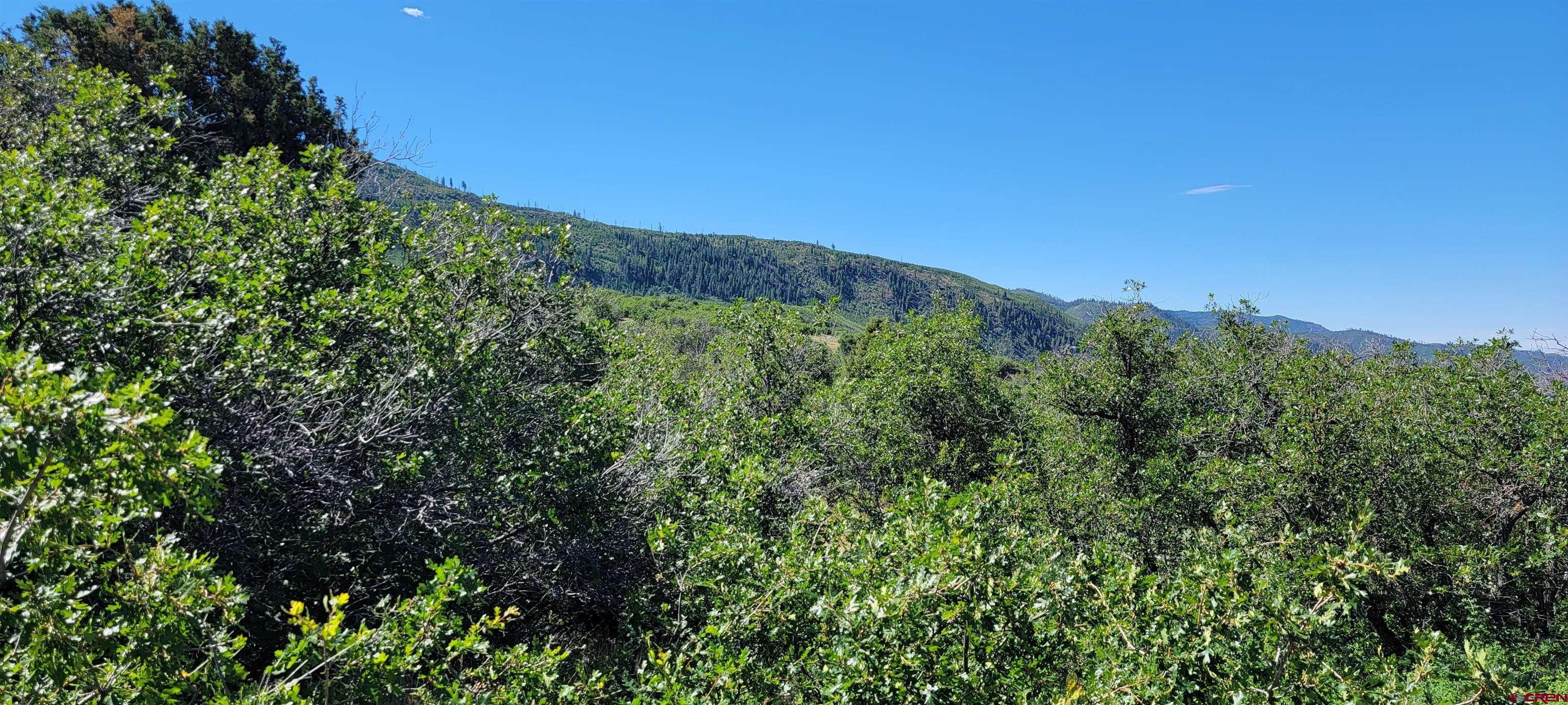 188 Grouse Point Durango, CO 81301 - Photo 5 of 9