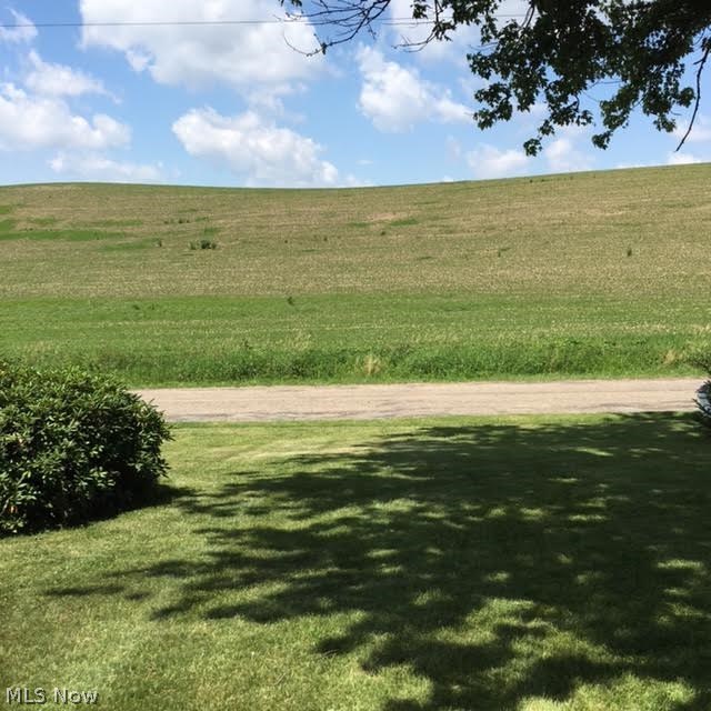 1572 Bellflower Road Minerva, OH 44657 - Photo 9 of 13 How is this for your view?