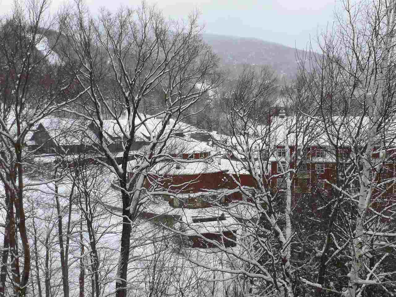 19 Snow Creek Road, Unit 19 Warren, VT 05674 - Photo 23 of 27 Gallery Image 23
