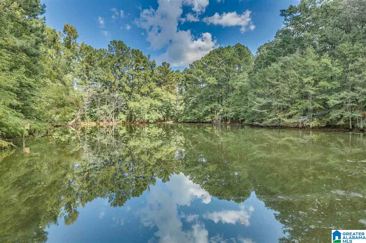 810 Griffin Road Chelsea, AL 35043 - Photo 43 of 50