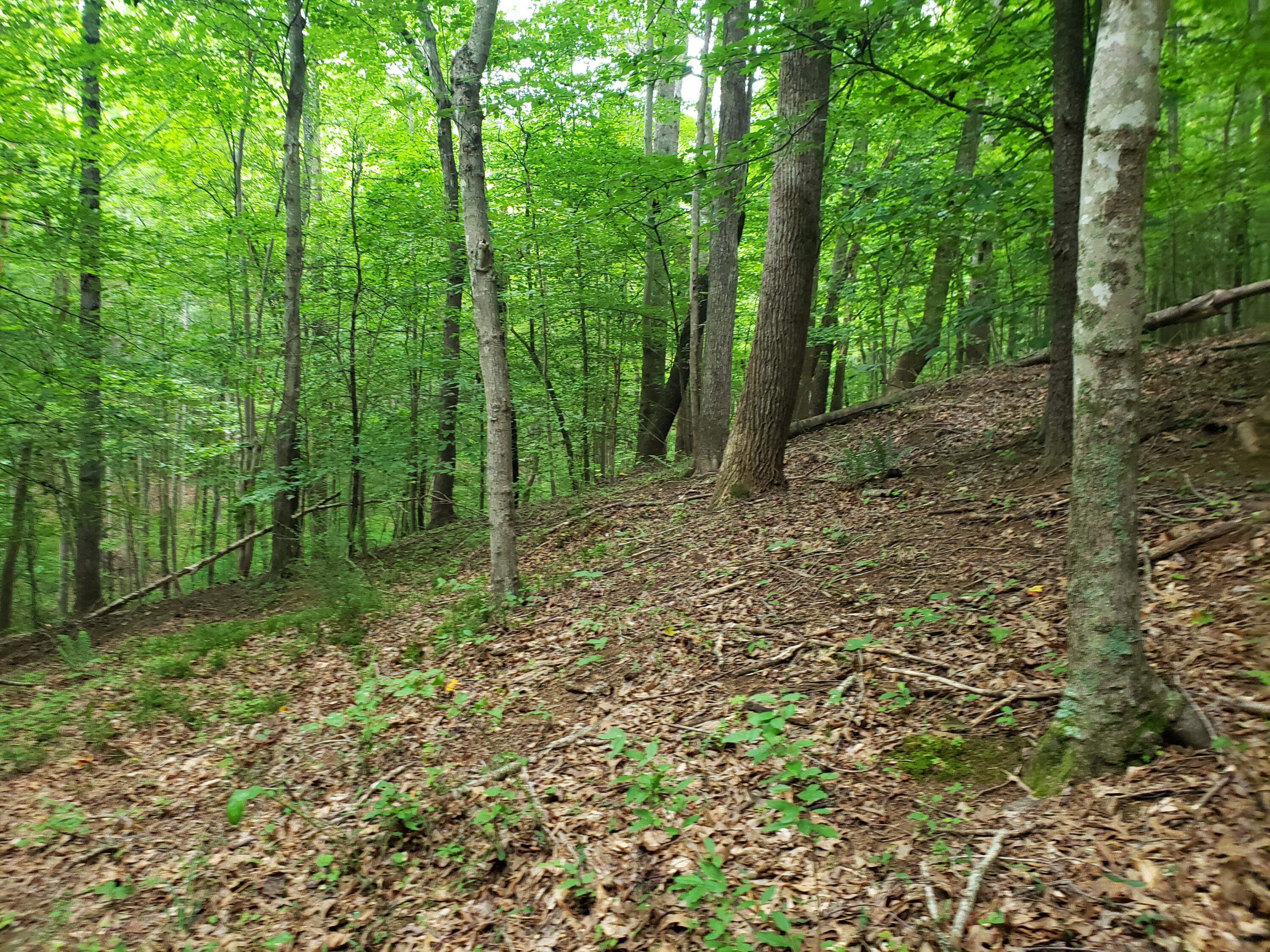Lot 21 Moon Ridge Lane Goodview, VA 24095 - Photo 36 of 47 a view of outdoor space and green space