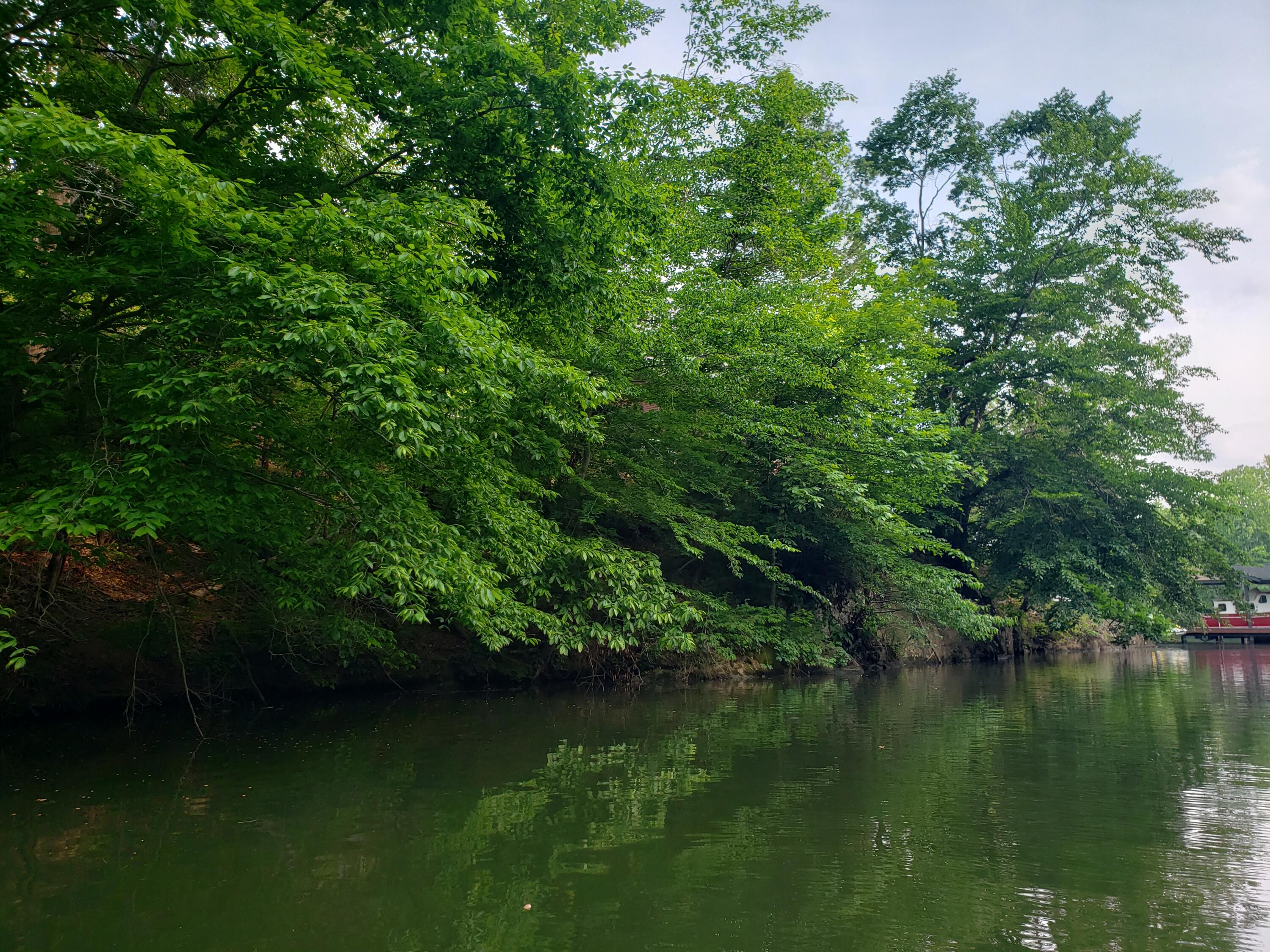 Lot 21 Moon Ridge Lane Goodview, VA 24095 - Photo 8 of 47 a view of lake with green space