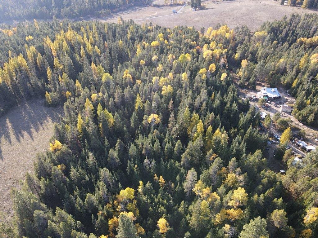 5030 J Rose Hill Road Springdale, WA 99173 - Photo 11 of 15