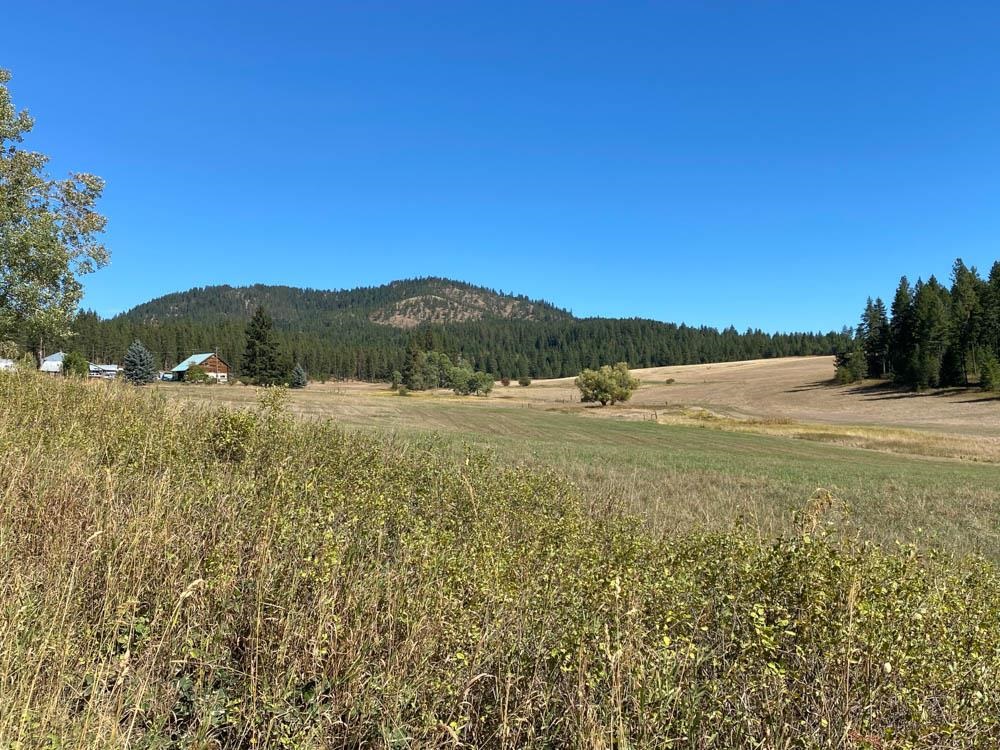 5030 J Rose Hill Road Springdale, WA 99173 - Photo 7 of 15