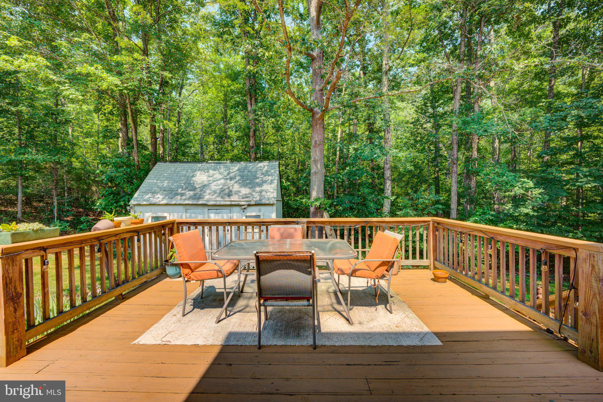 9595 Roys Lane Culpeper, VA 22701 - Photo 55 of 61 Serene deck nestled in lush greenery.