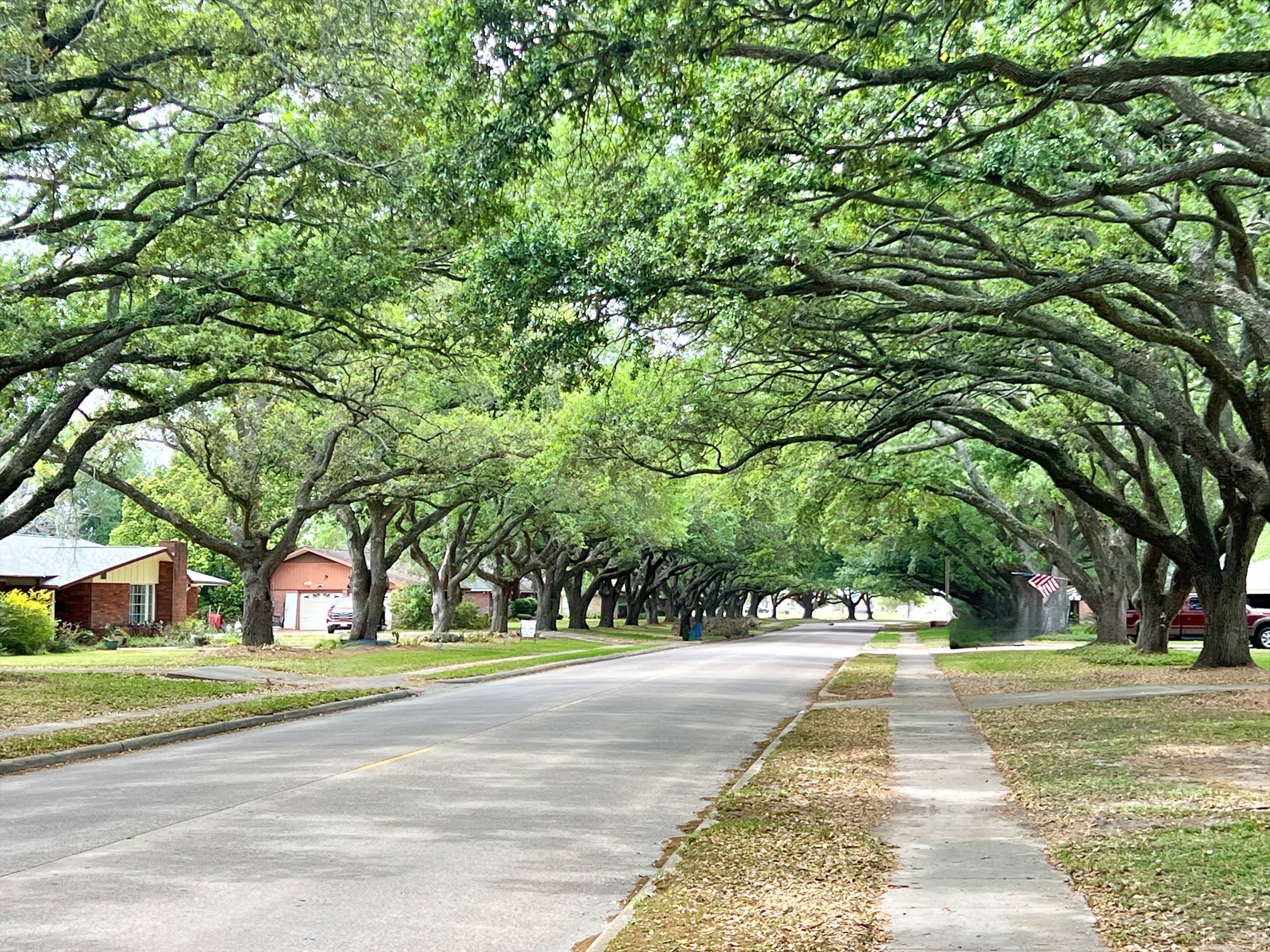 701 Cannan Drive Angleton, TX 77515 - Photo 24 of 25 Most beautiful street in town!