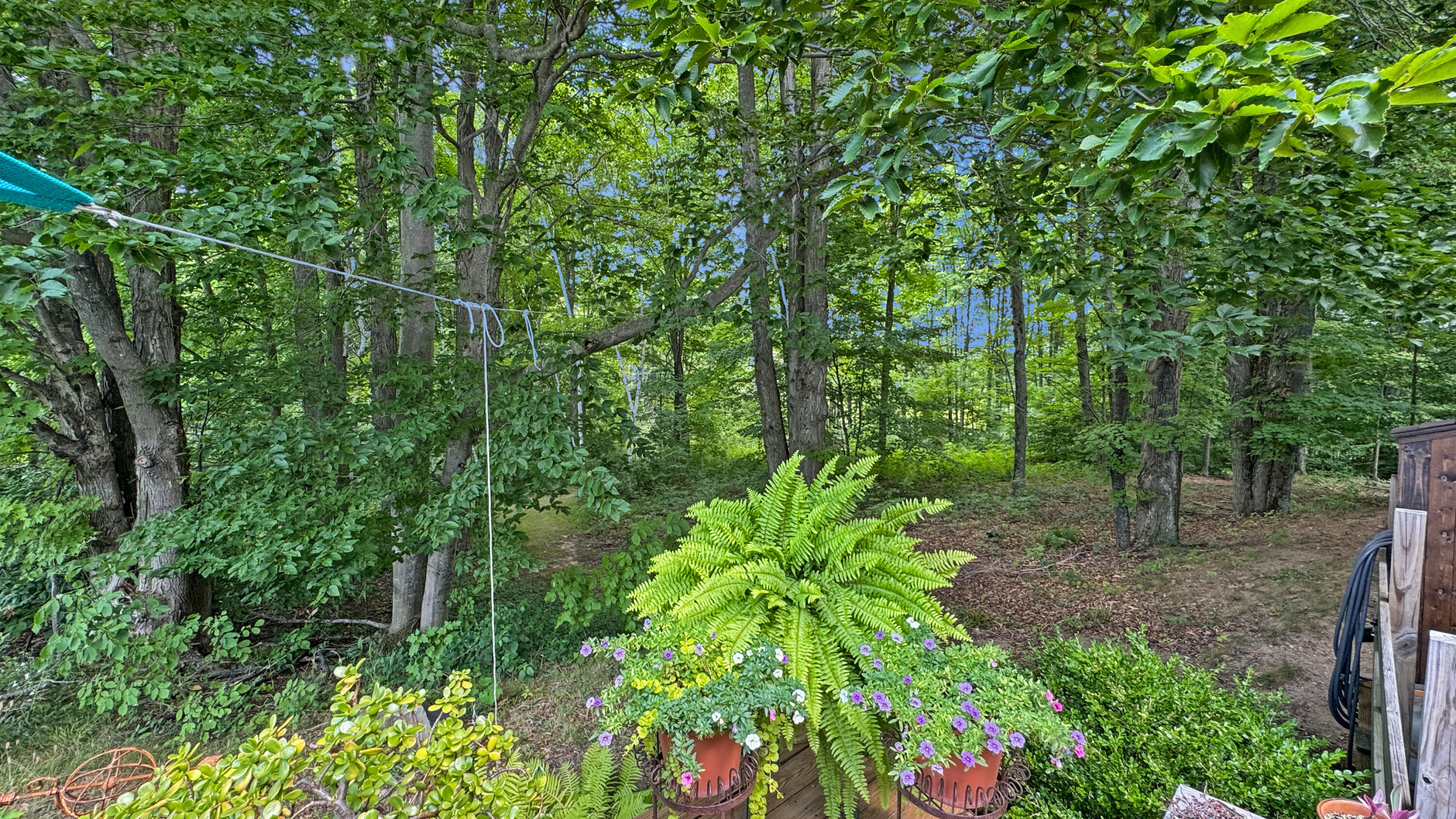 4353 East 6 Mile Road Luther, MI 49656 - Photo 52 of 73 Greg Bosscher (81)