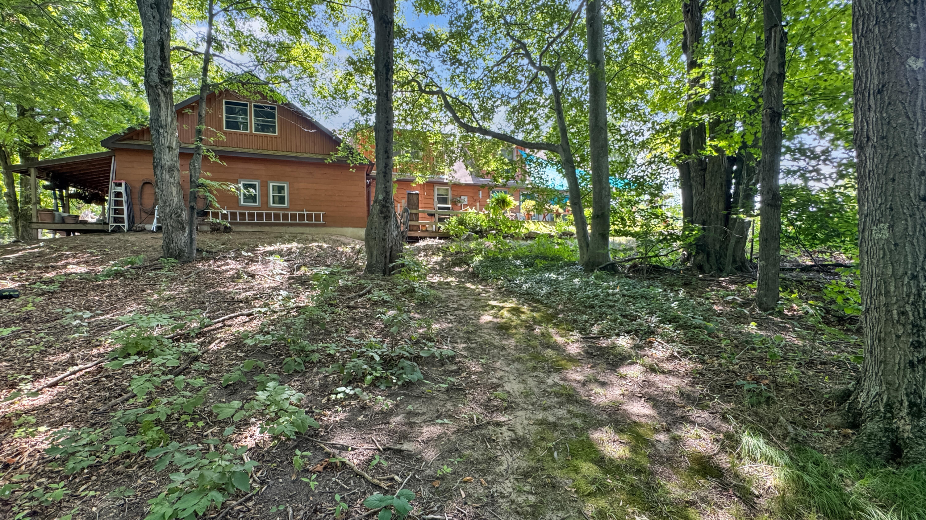 4353 East 6 Mile Road Luther, MI 49656 - Photo 53 of 73 Greg Bosscher (87)