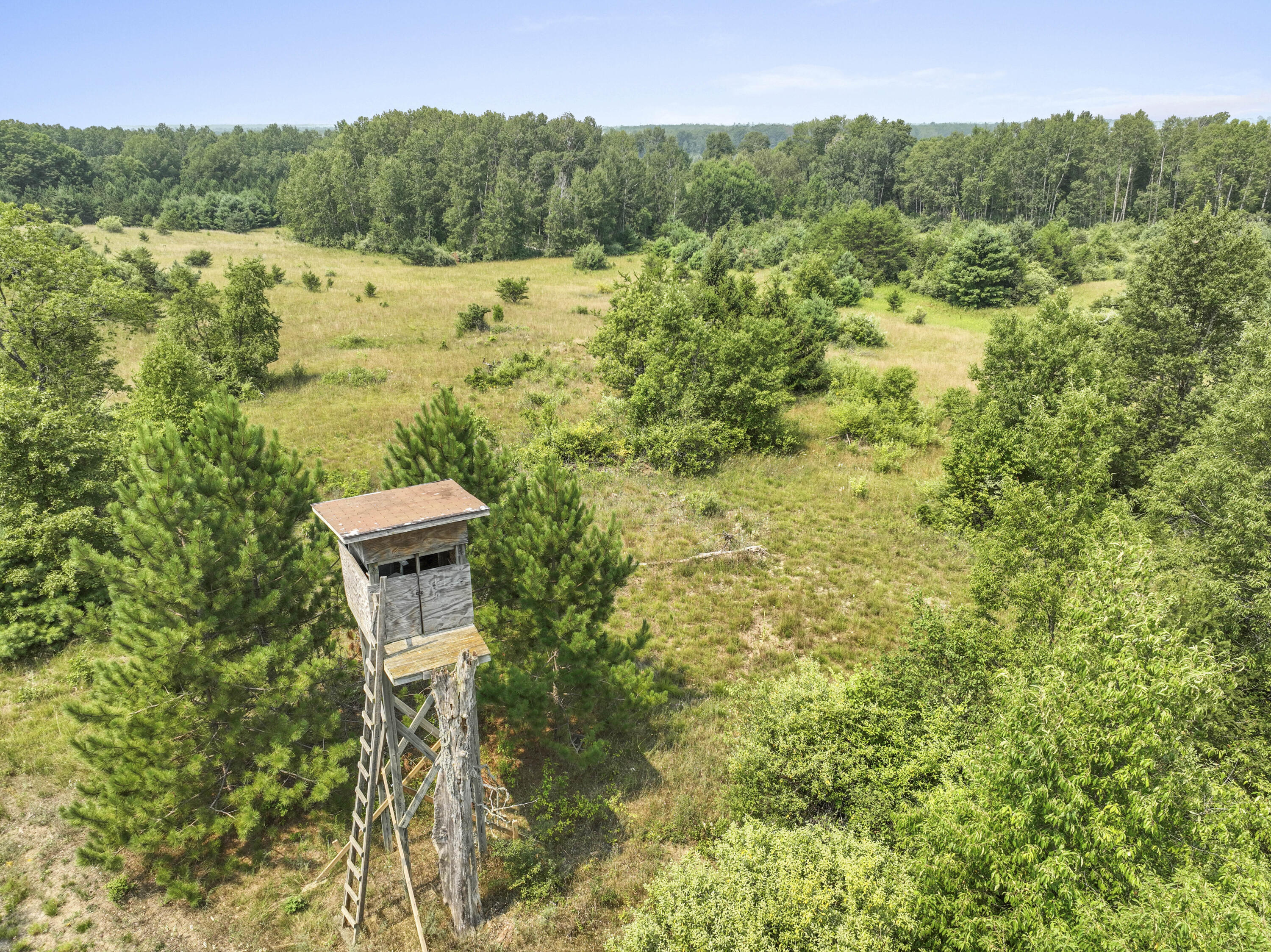 4353 East 6 Mile Road Luther, MI 49656 - Photo 55 of 73 Greg Bosscher (13)