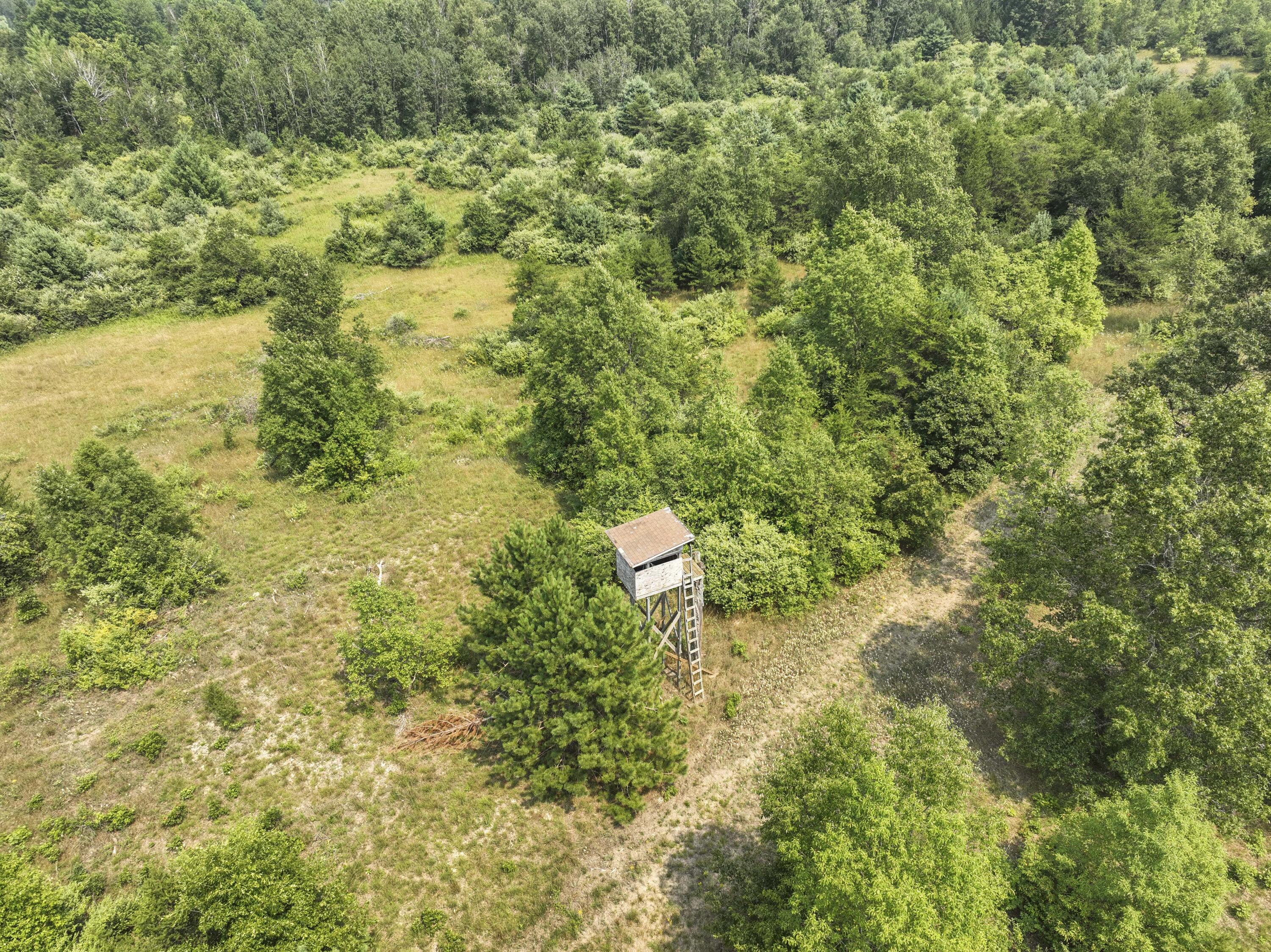 4353 East 6 Mile Road Luther, MI 49656 - Photo 56 of 73 Greg Bosscher (15)