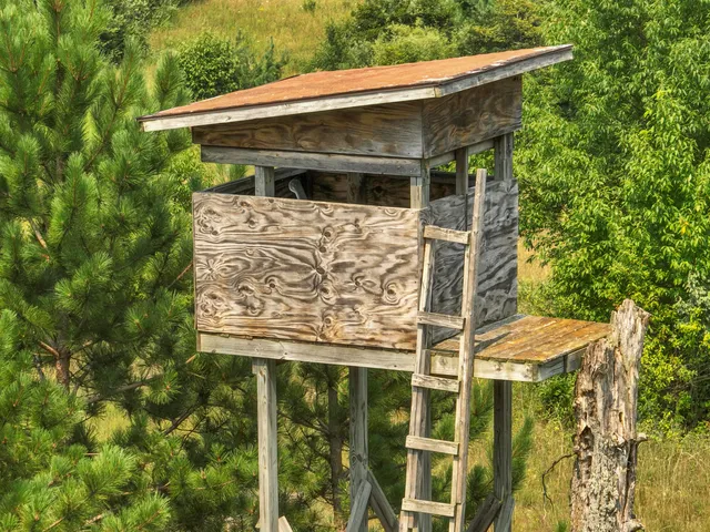 $675,000 | 4353 East 6 Mile Road, Luther, MI 49656