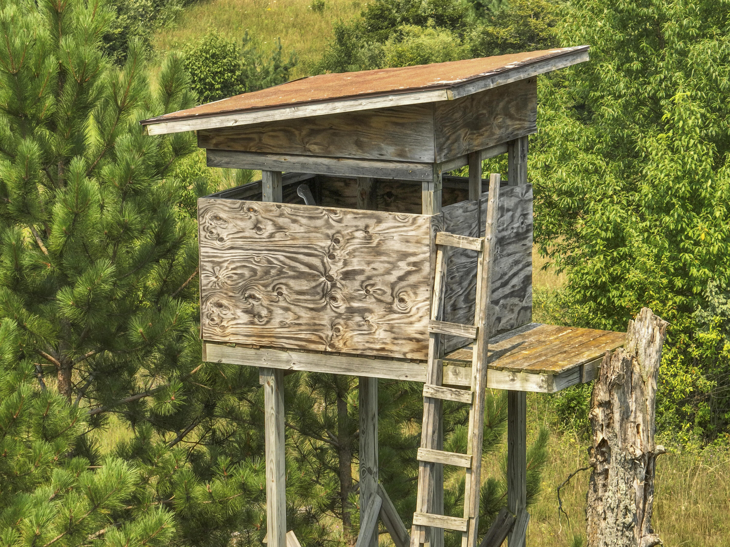 4353 East 6 Mile Road Luther, MI 49656 - Photo 57 of 73 Greg Bosscher (27)