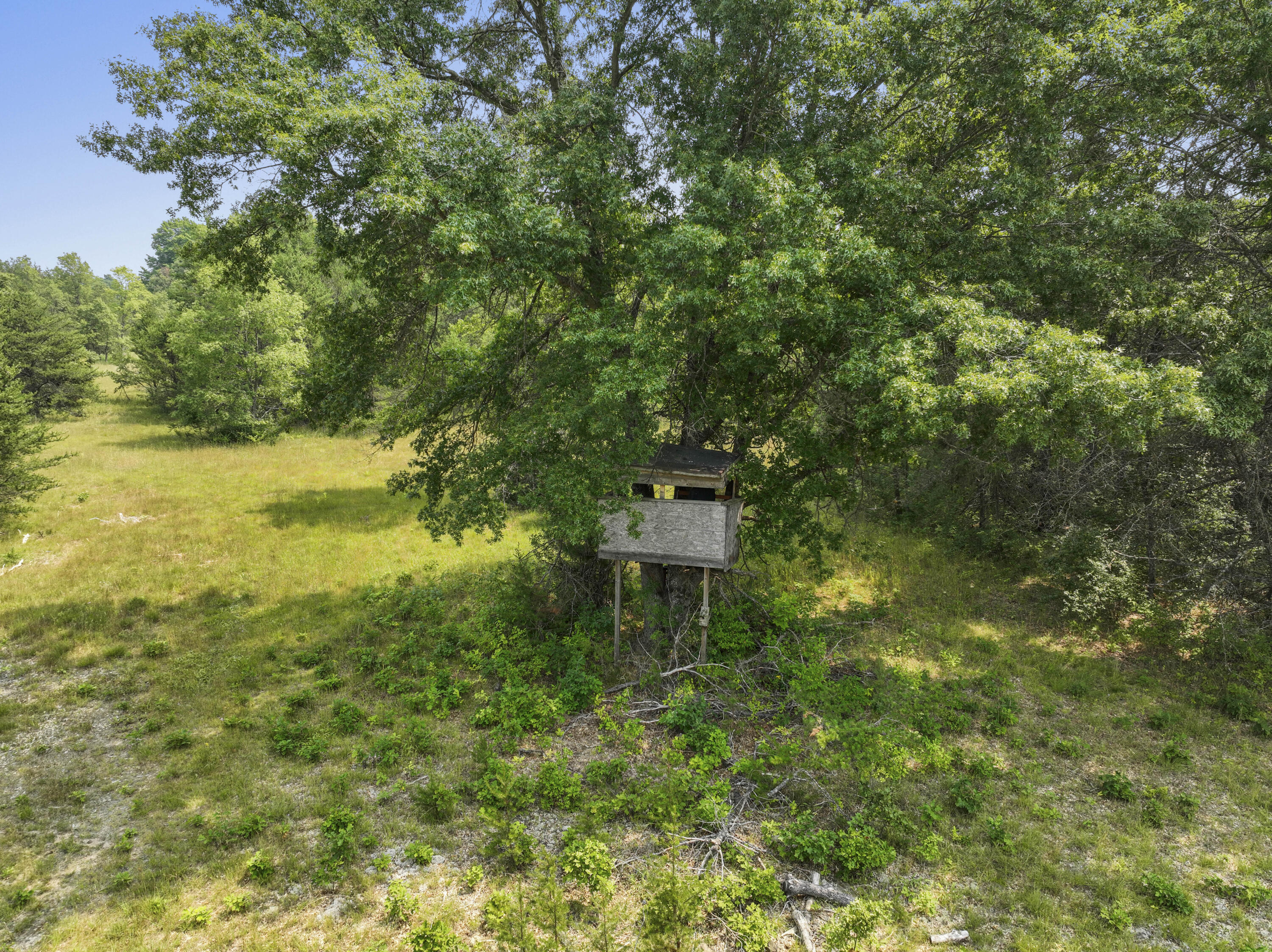 4353 East 6 Mile Road Luther, MI 49656 - Photo 58 of 73 Greg Bosscher (24)