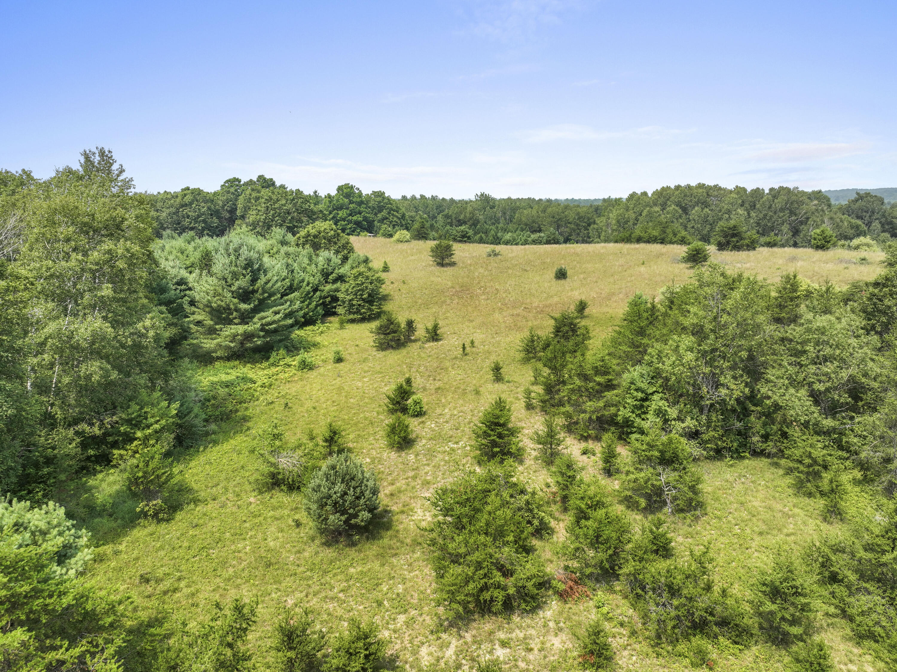 4353 East 6 Mile Road Luther, MI 49656 - Photo 64 of 73 Greg Bosscher (22)