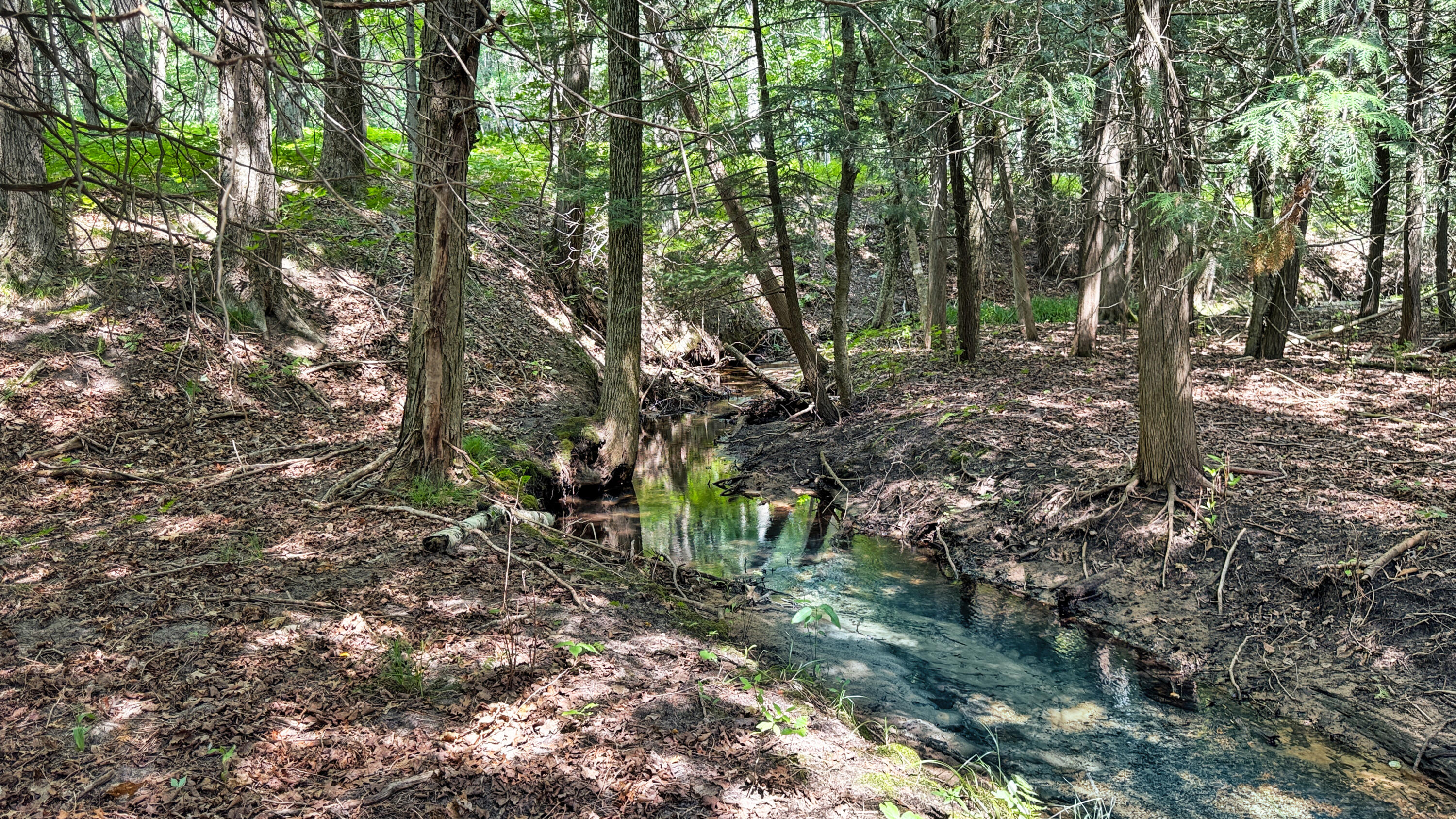 4353 East 6 Mile Road Luther, MI 49656 - Photo 66 of 73 Greg Bosscher (88)