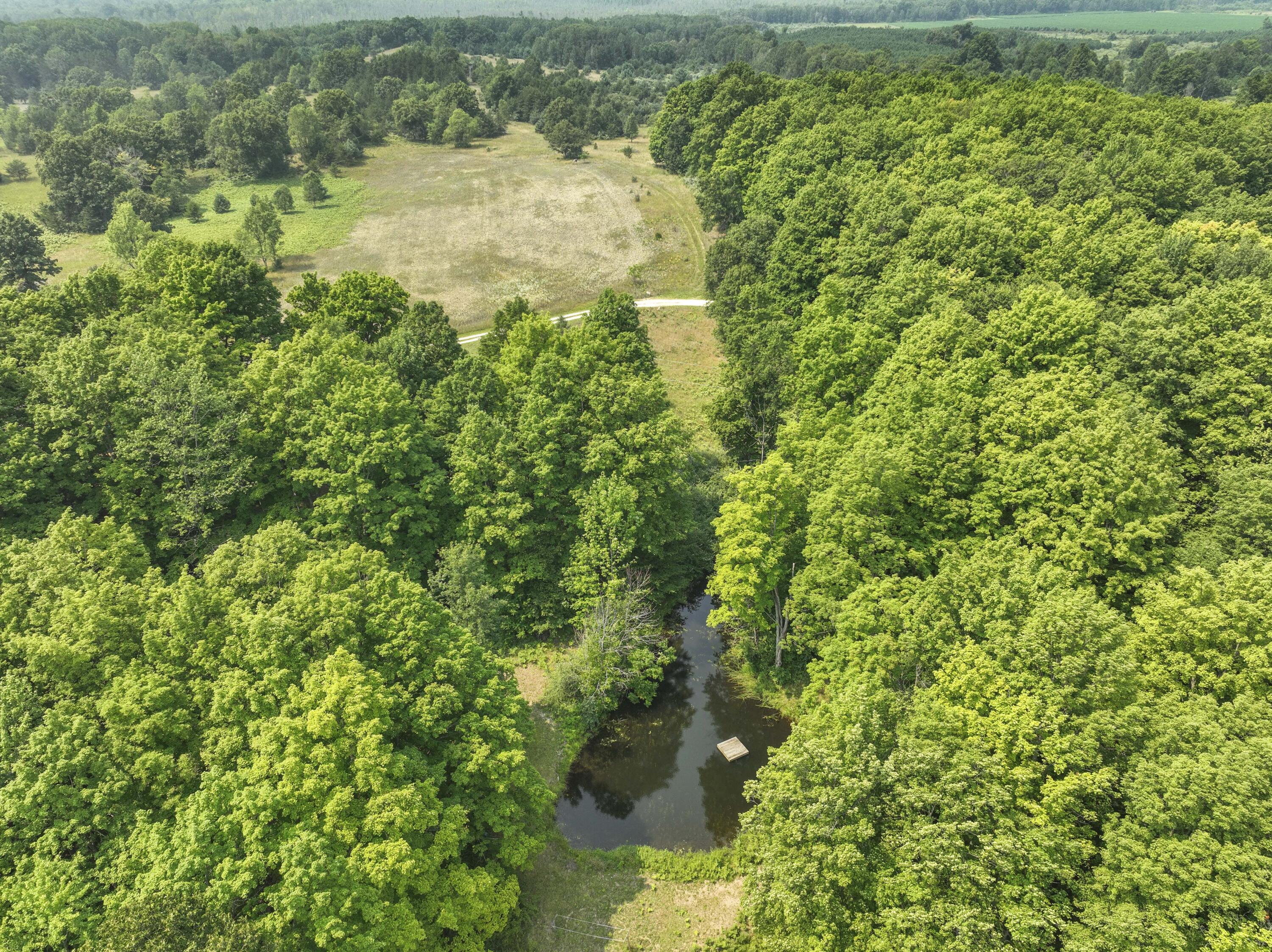 4353 East 6 Mile Road Luther, MI 49656 - Photo 67 of 73 Greg Bosscher (7)