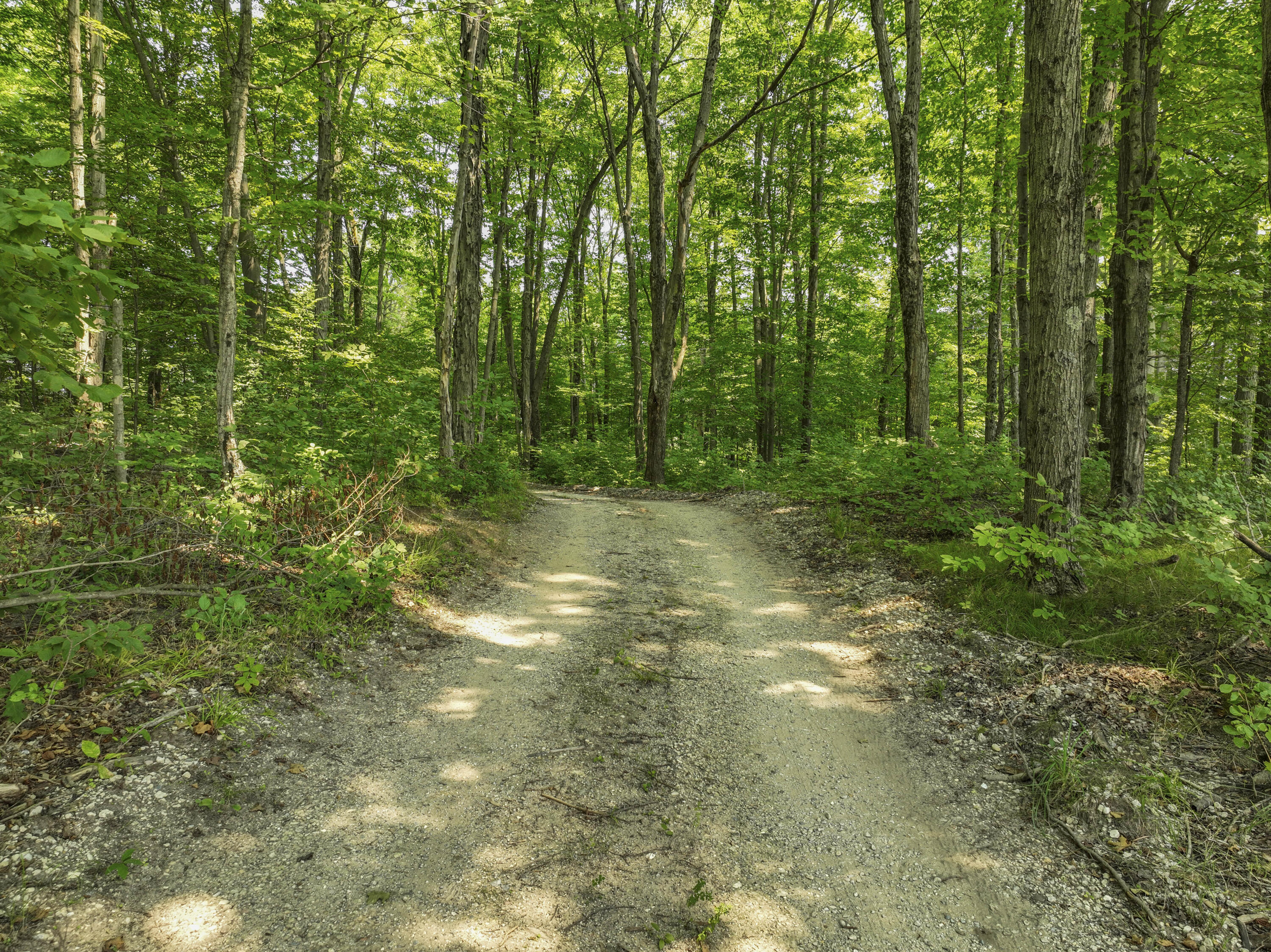 4353 East 6 Mile Road Luther, MI 49656 - Photo 68 of 73 Greg Bosscher (35)