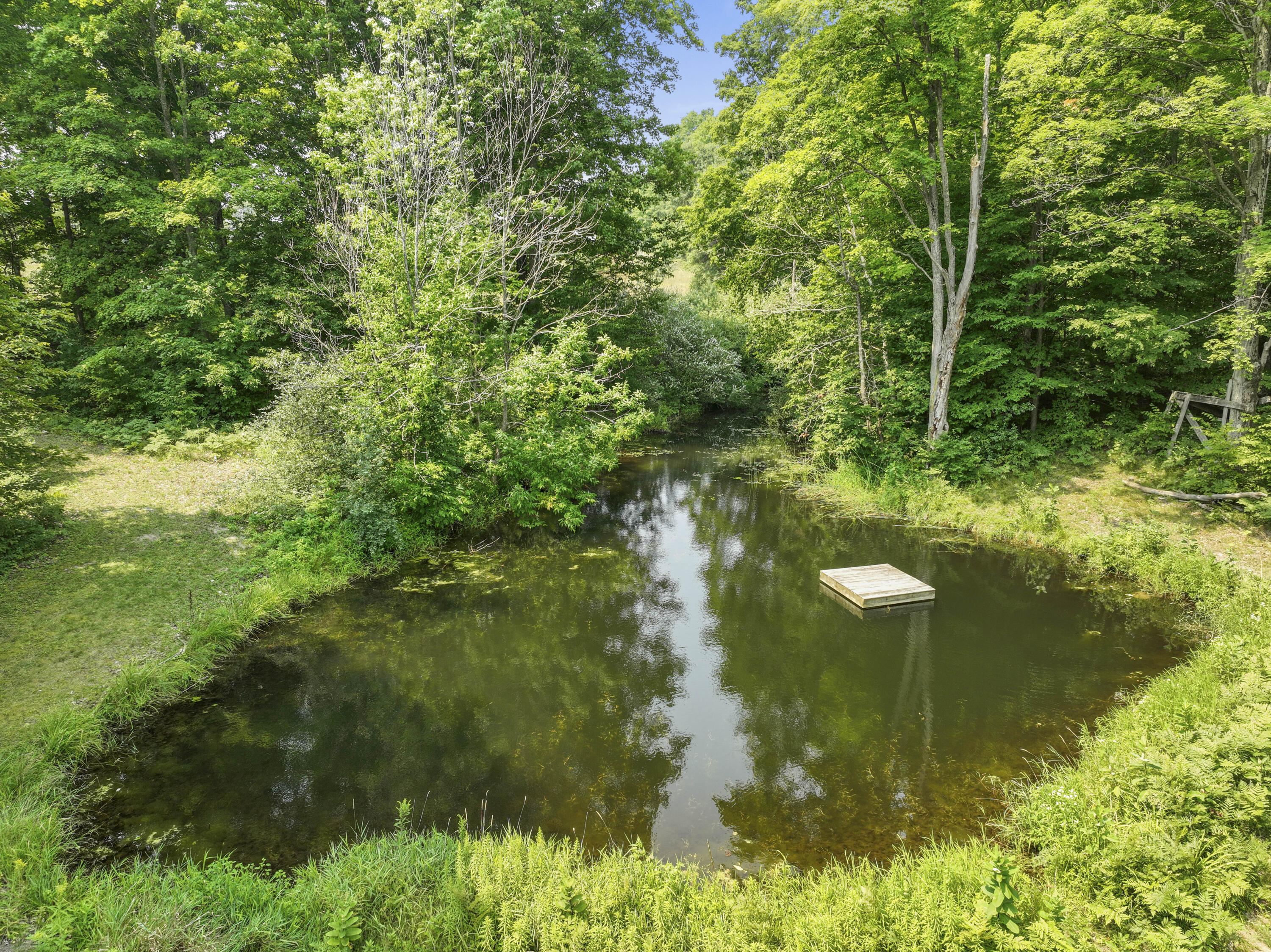 4353 East 6 Mile Road Luther, MI 49656 - Photo 8 of 73 Greg Bosscher (8)